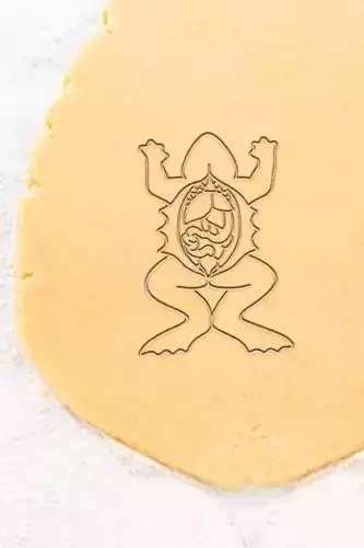 Frog Cookie Cutter - Biscuit Cutter