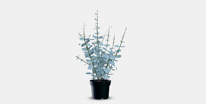 FEJKA Artificial potted plant 5 3D model