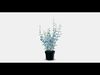 FEJKA Artificial potted plant 5 3D model_1