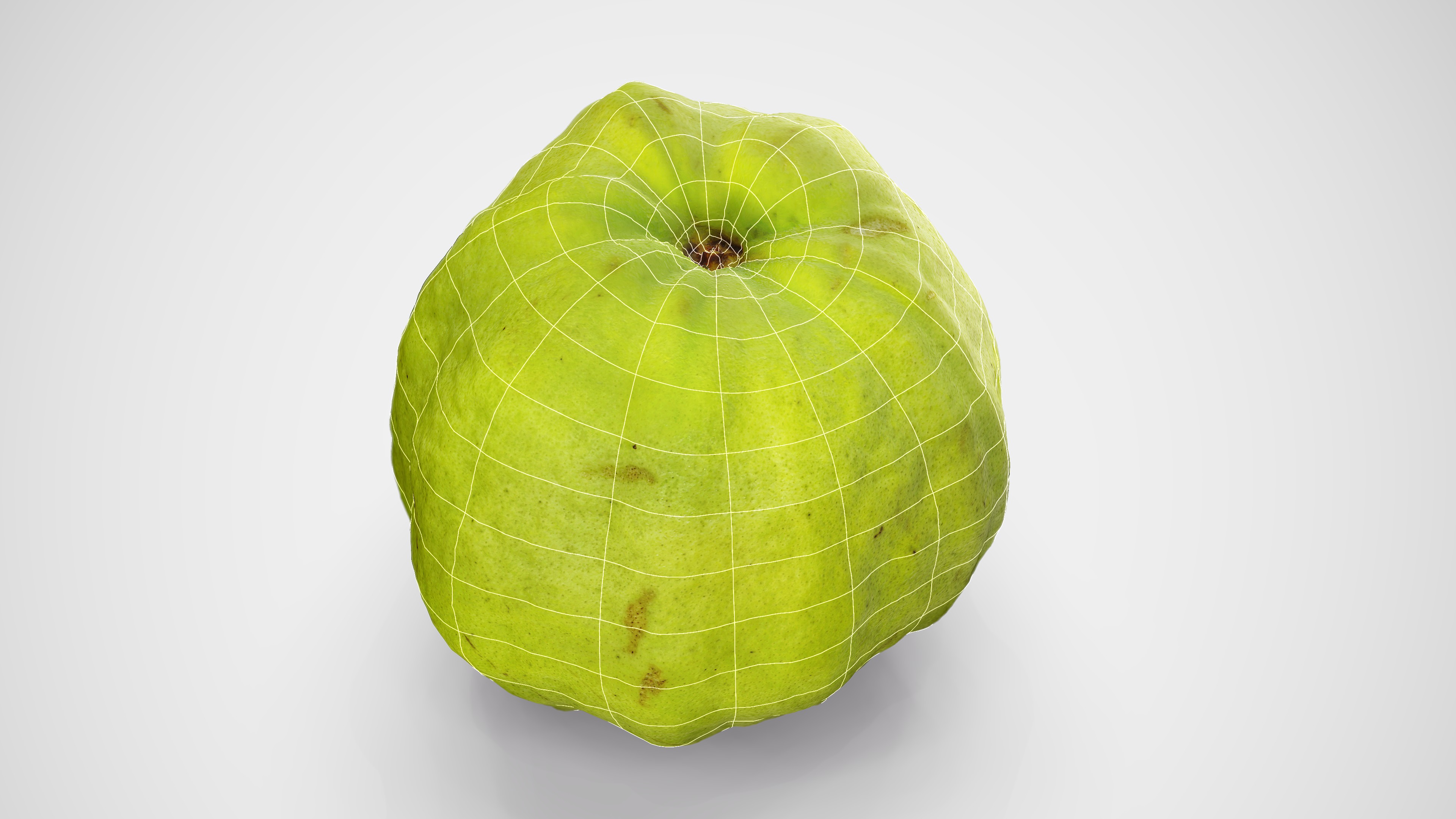 Guava - Photorealistic Scan Low-poly 3D model_4