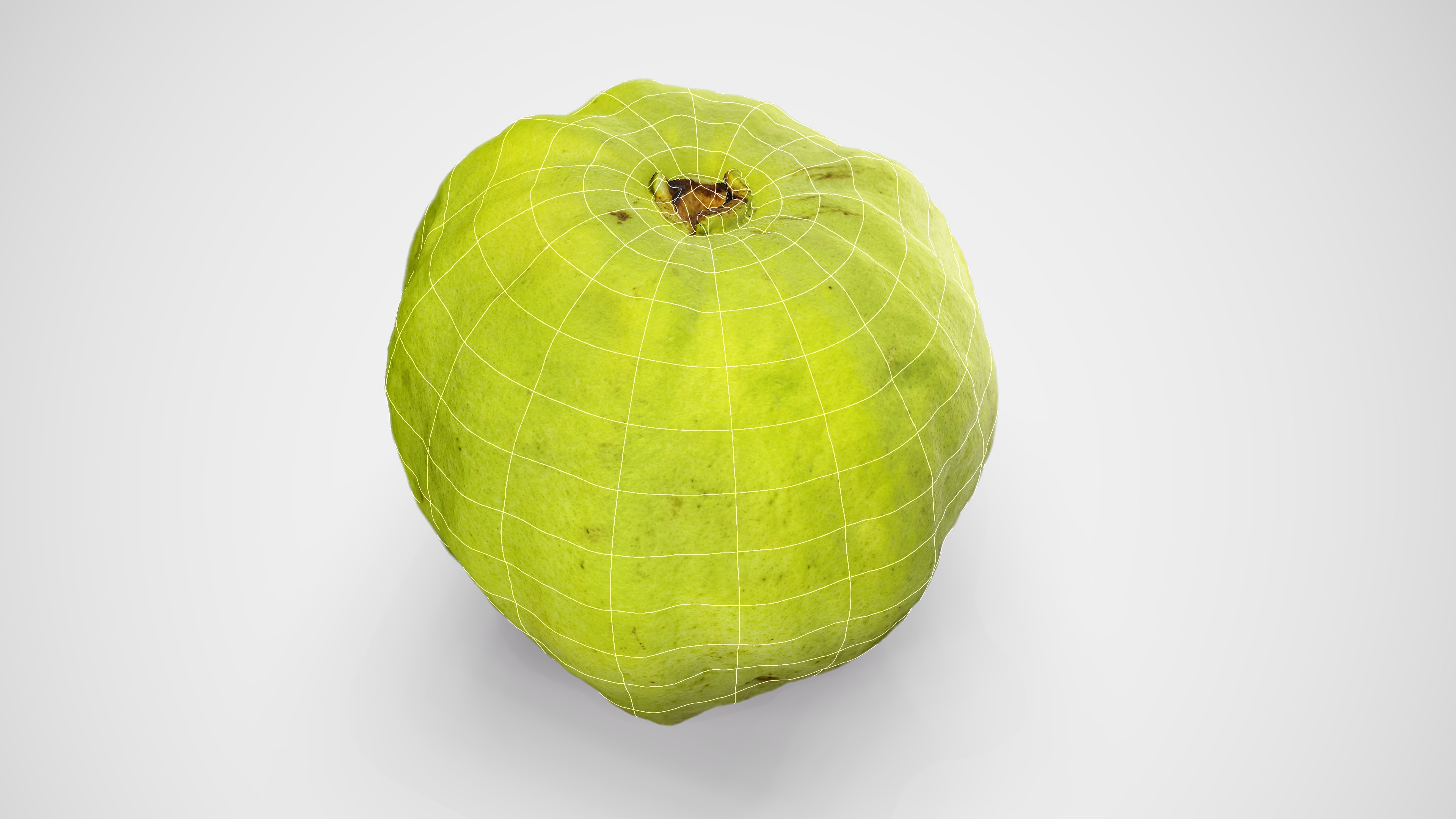 Guava - Photorealistic Scan Low-poly 3D model_2