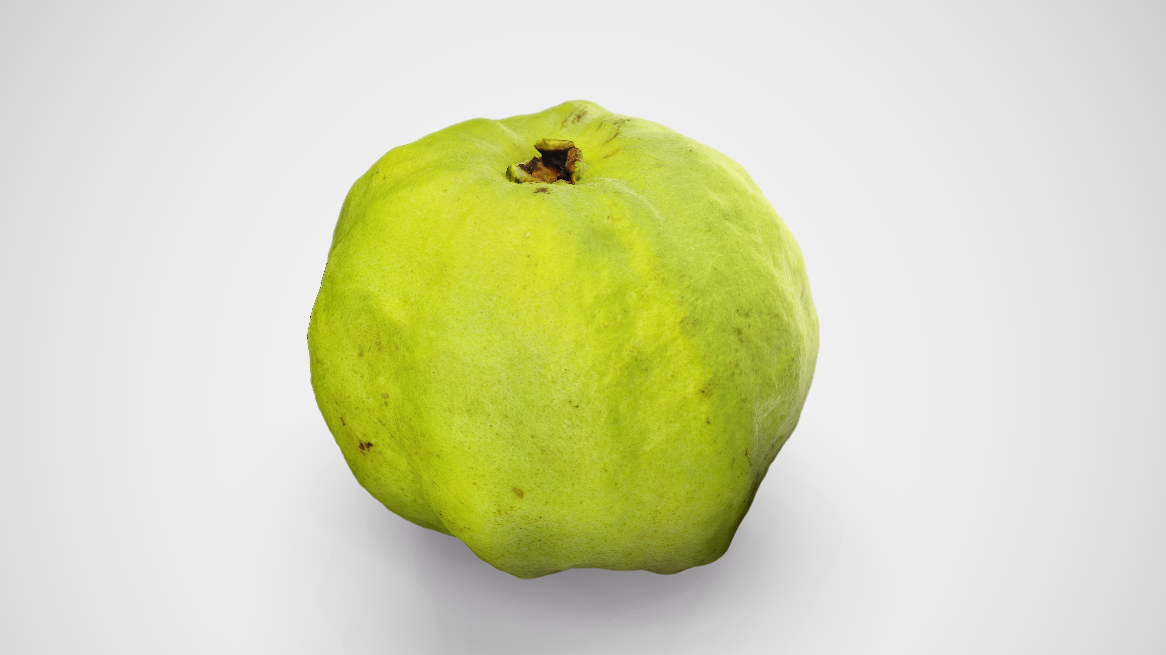 Guava - Photorealistic Scan Low-poly 3D model_7