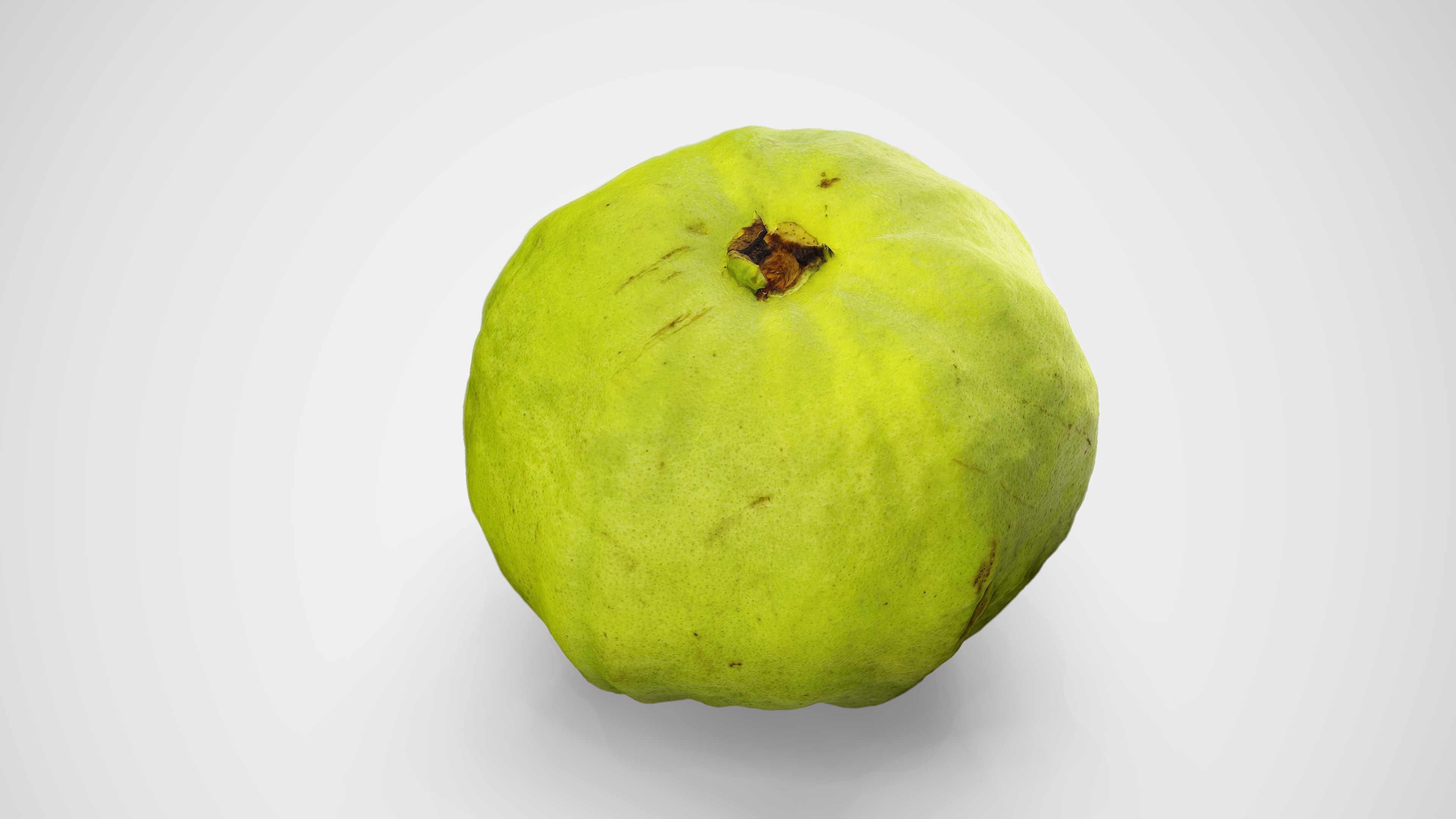 Guava - Photorealistic Scan Low-poly 3D model_12