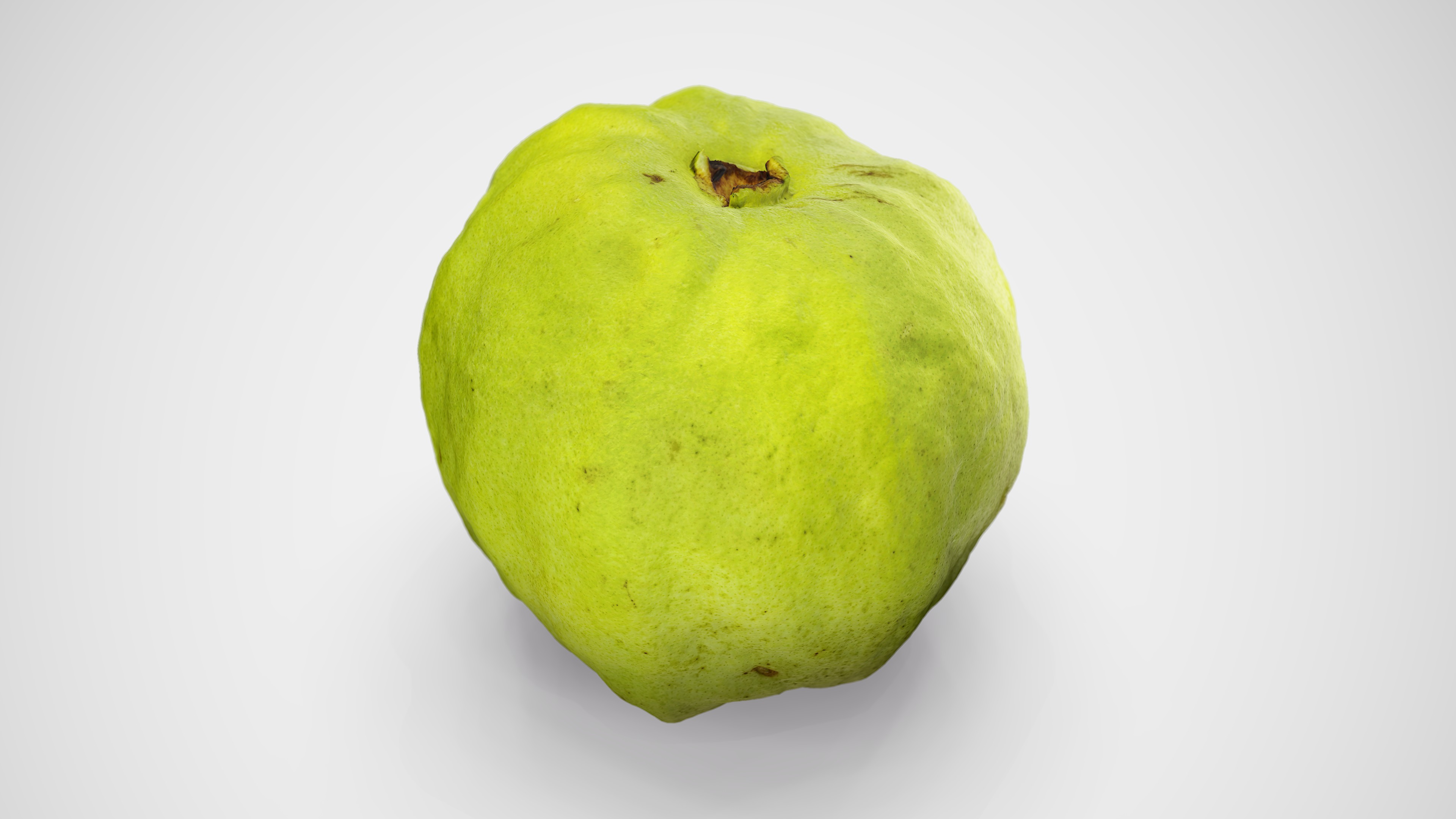 Guava - Photorealistic Scan Low-poly 3D model_5