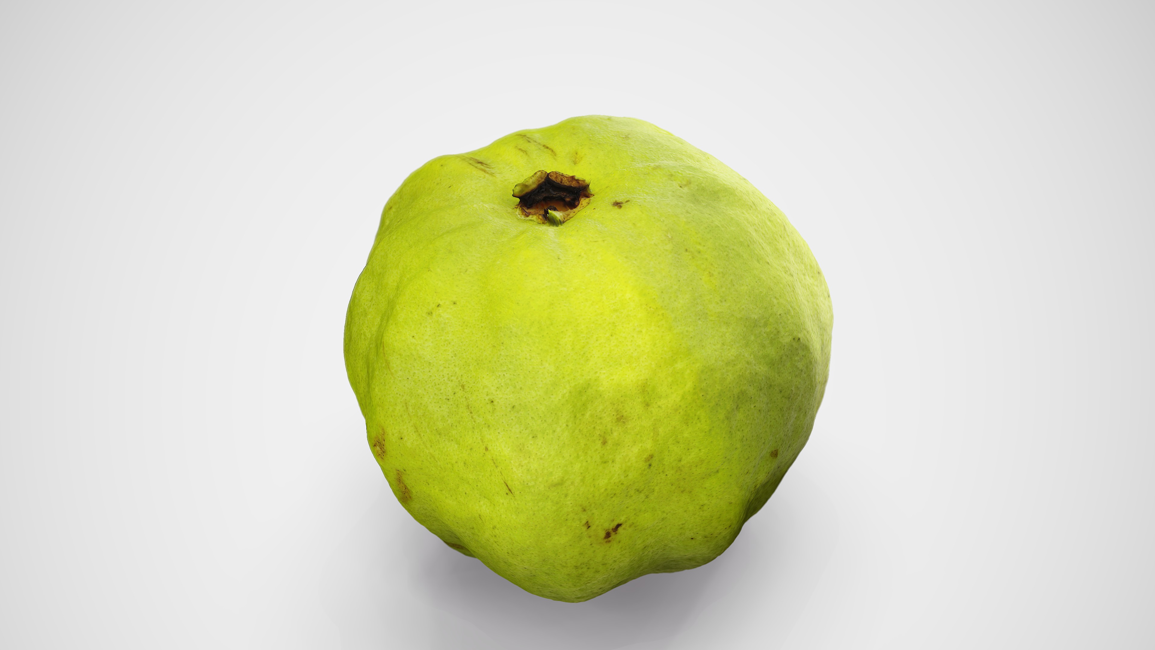 Guava - Photorealistic Scan Low-poly 3D model_9