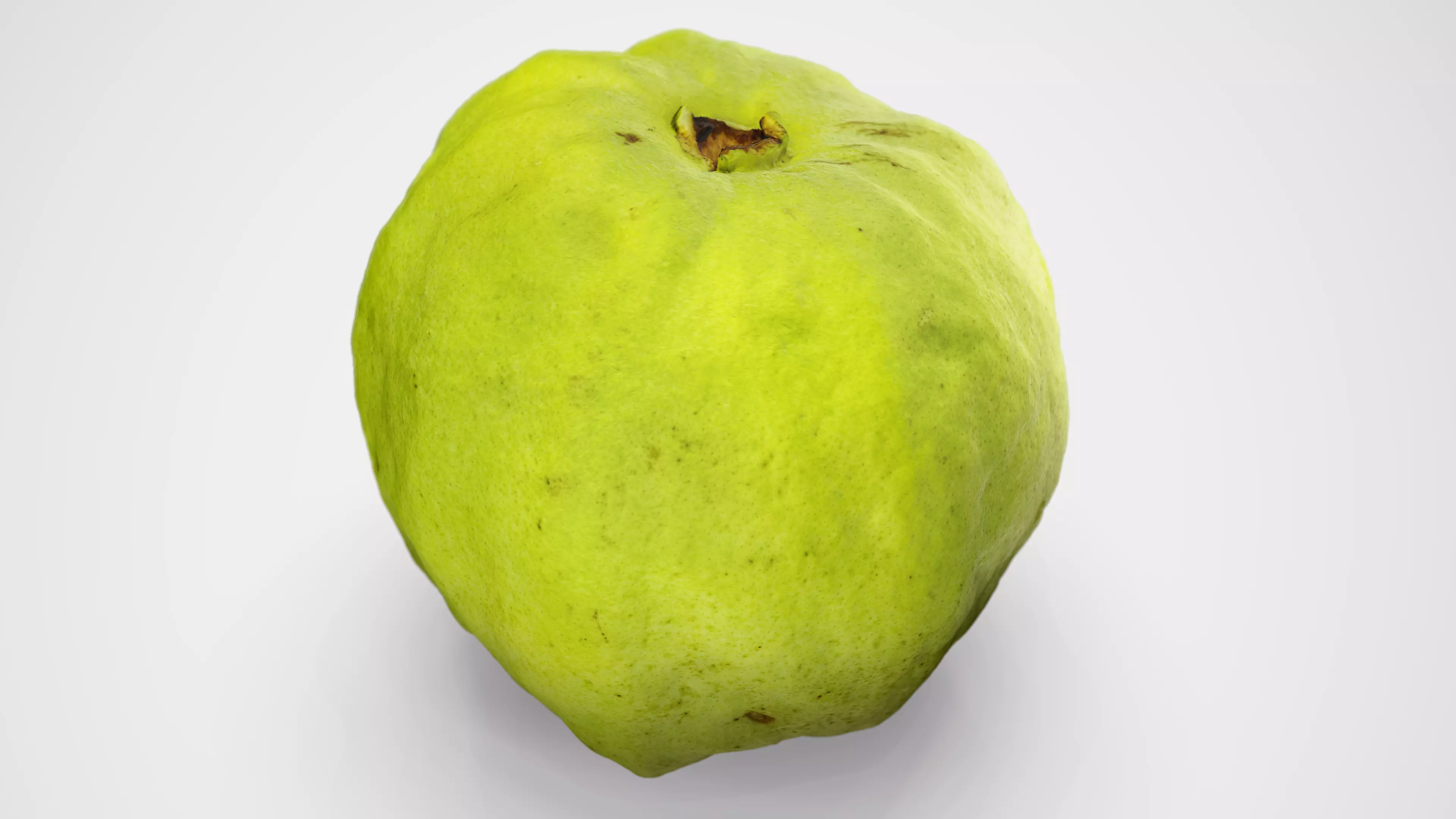 Guava - Photorealistic Scan Low-poly 3D model_0