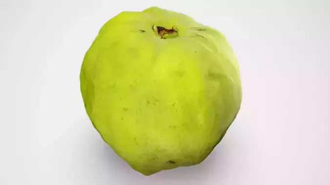 Guava - Photorealistic Scan