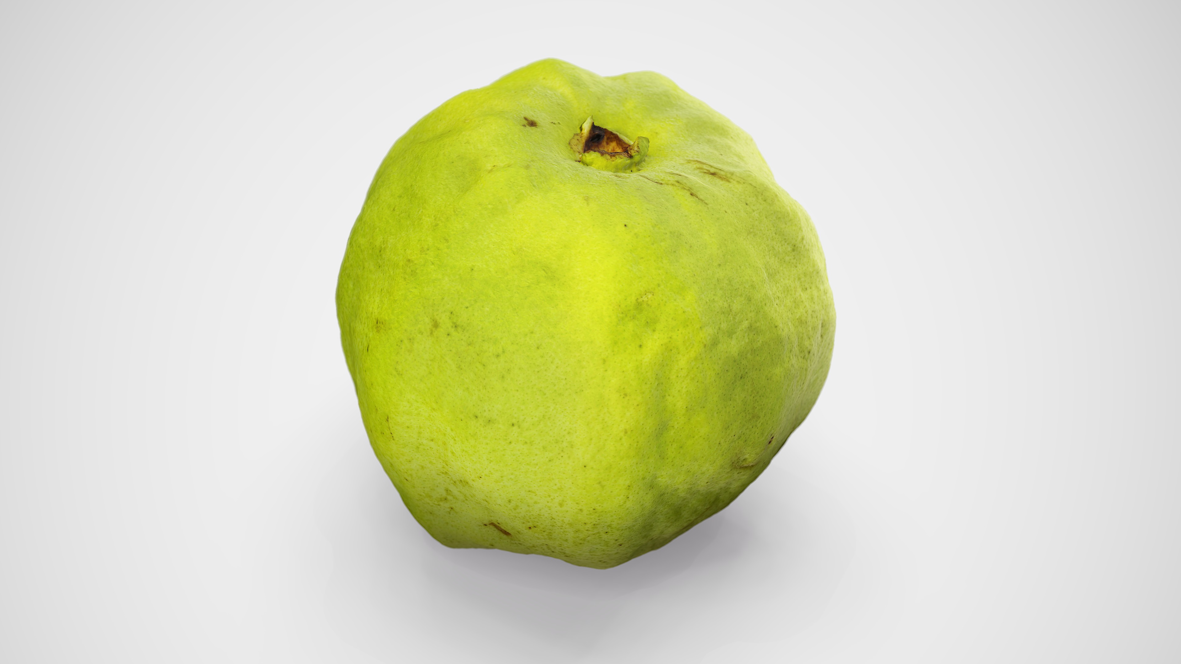 Guava - Photorealistic Scan Low-poly 3D model_16