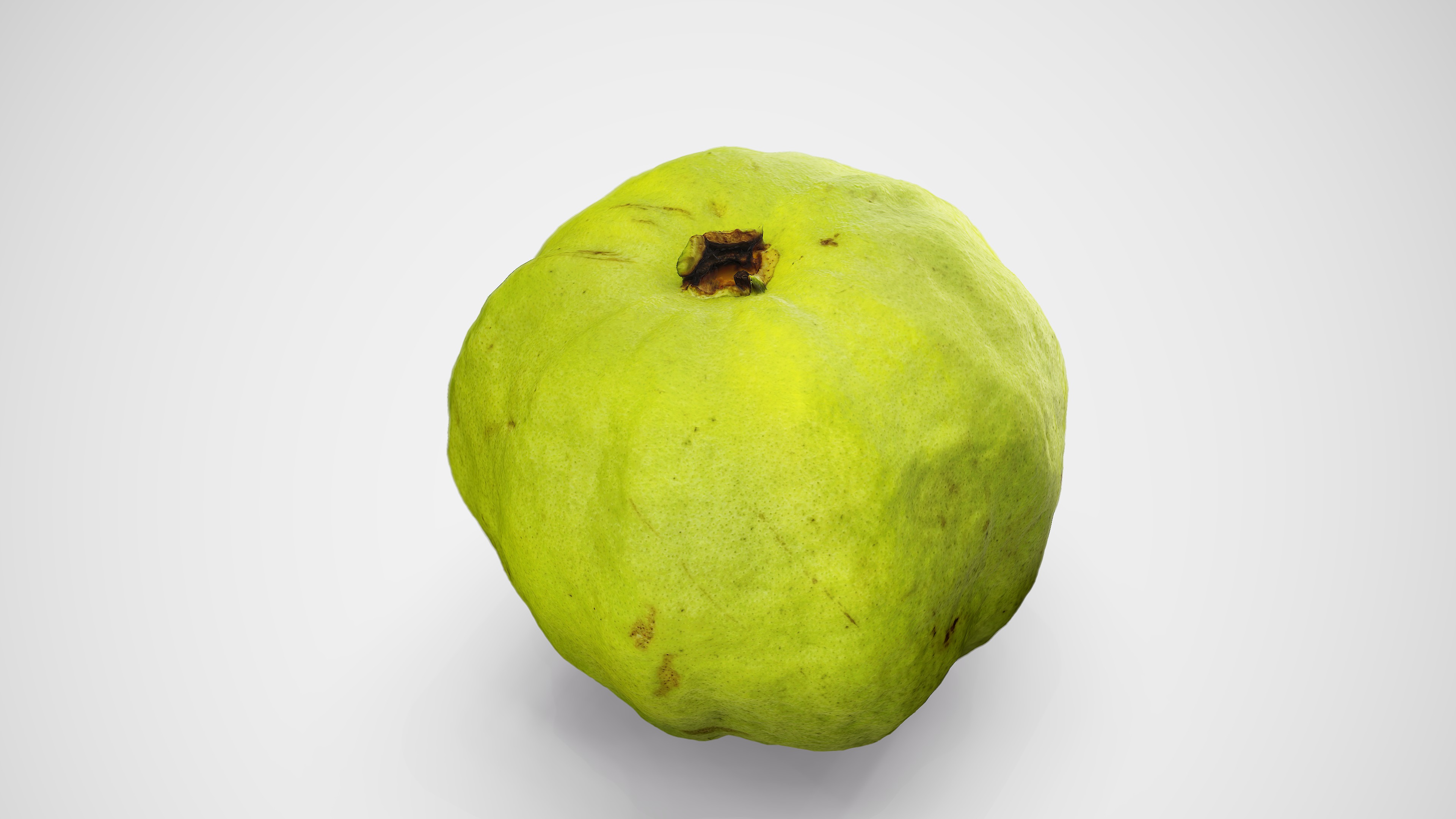 Guava - Photorealistic Scan Low-poly 3D model_10