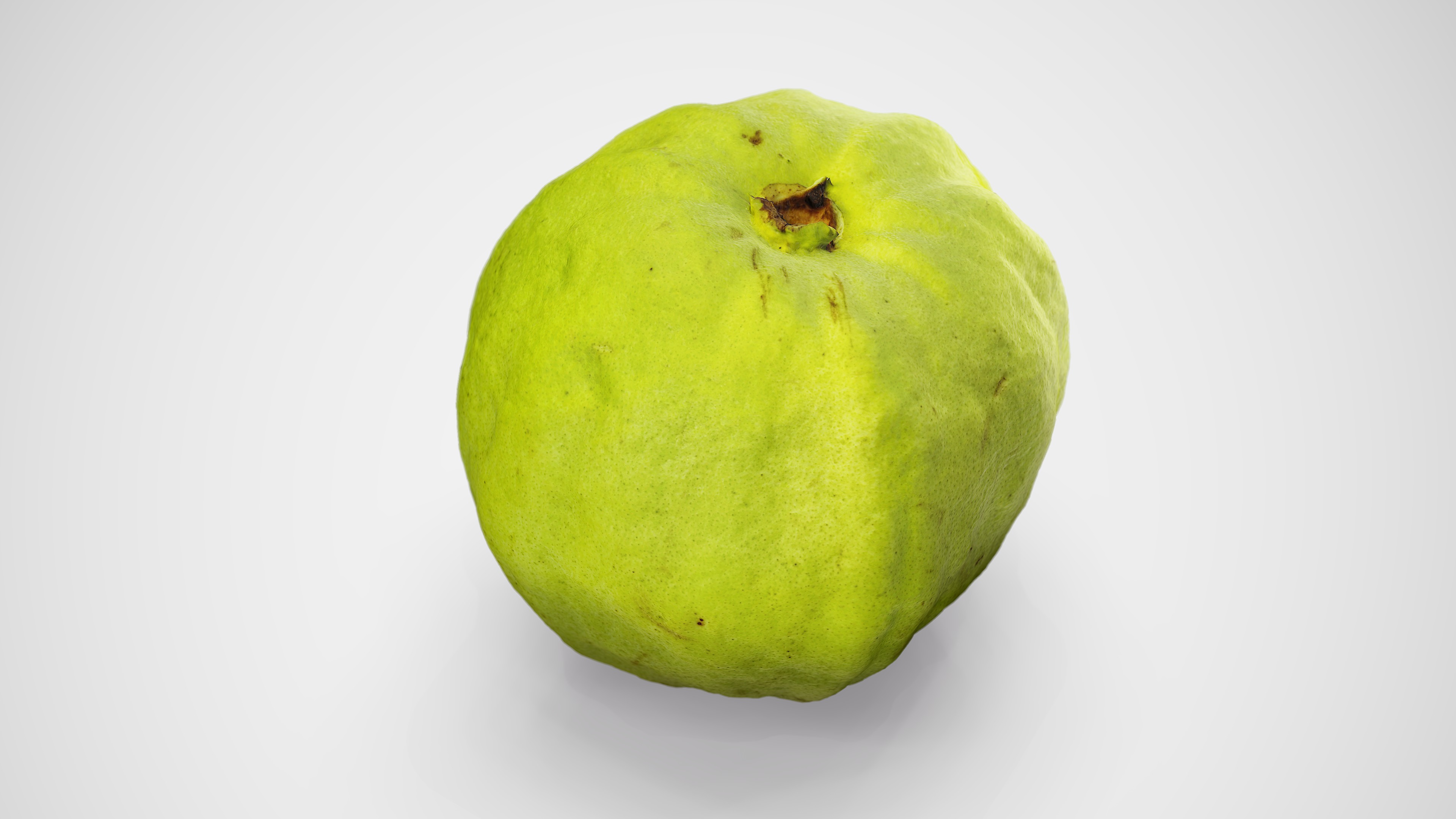 Guava - Photorealistic Scan Low-poly 3D model_14