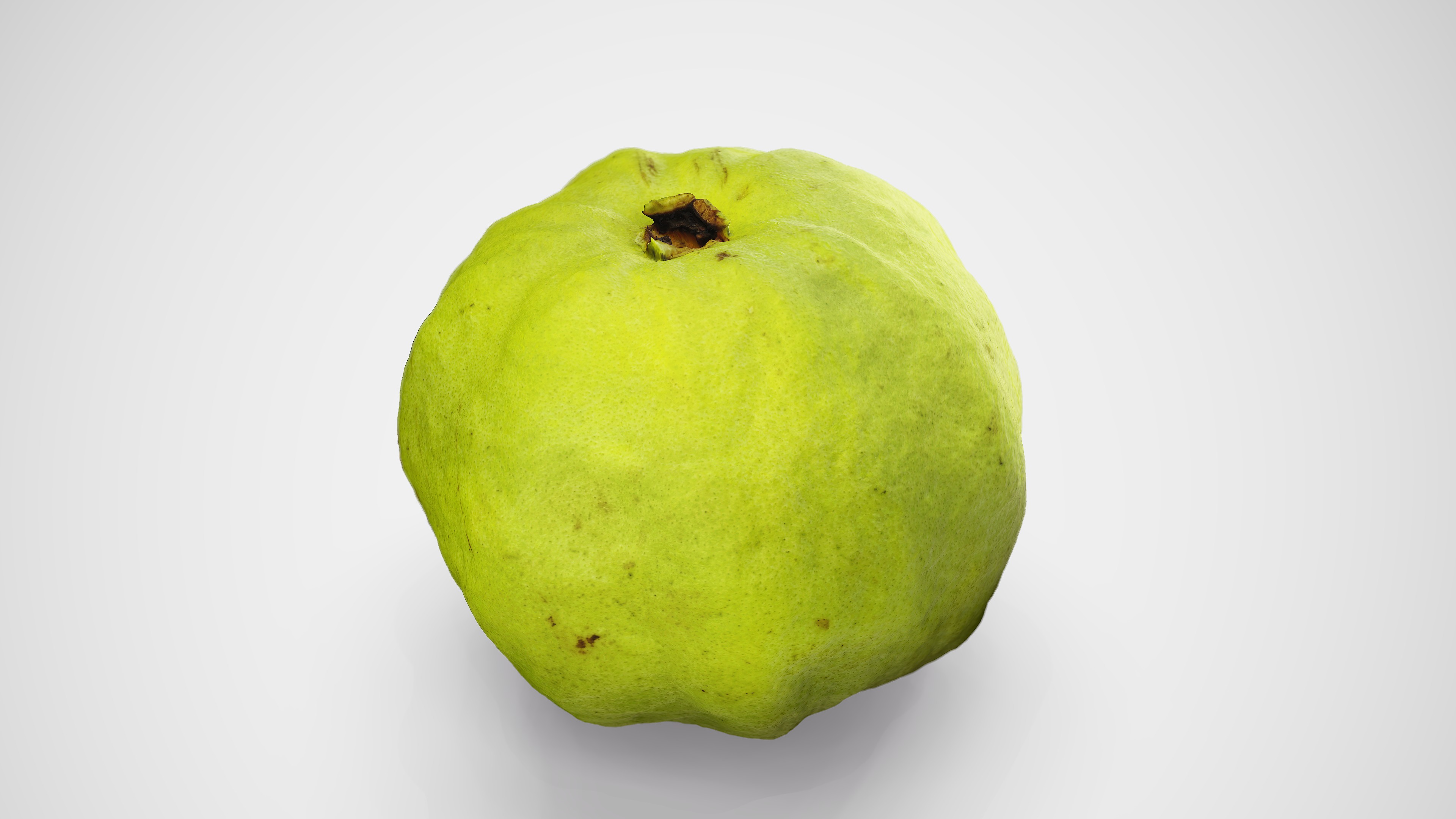 Guava - Photorealistic Scan Low-poly 3D model_8