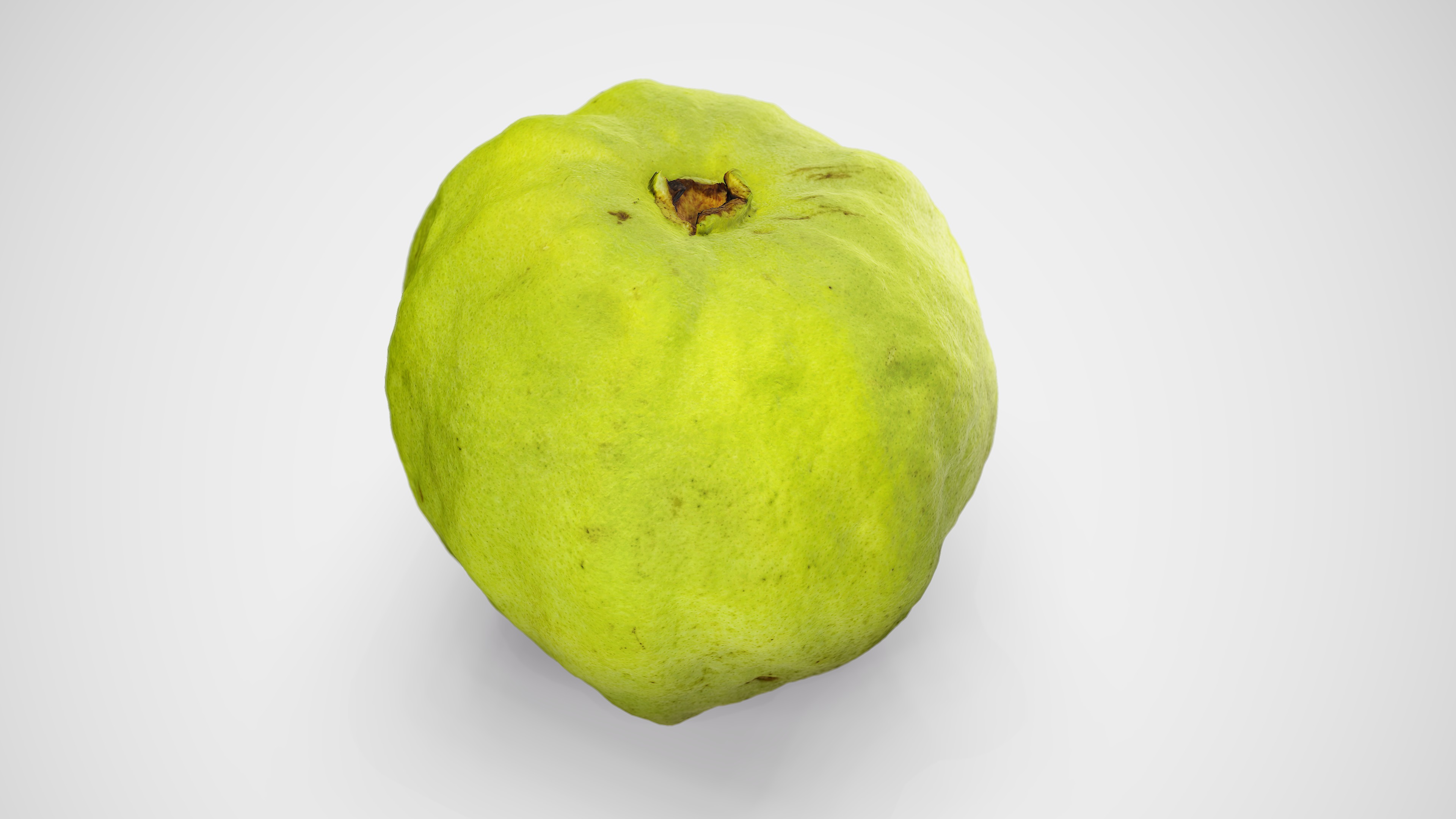 Guava - Photorealistic Scan Low-poly 3D model_1