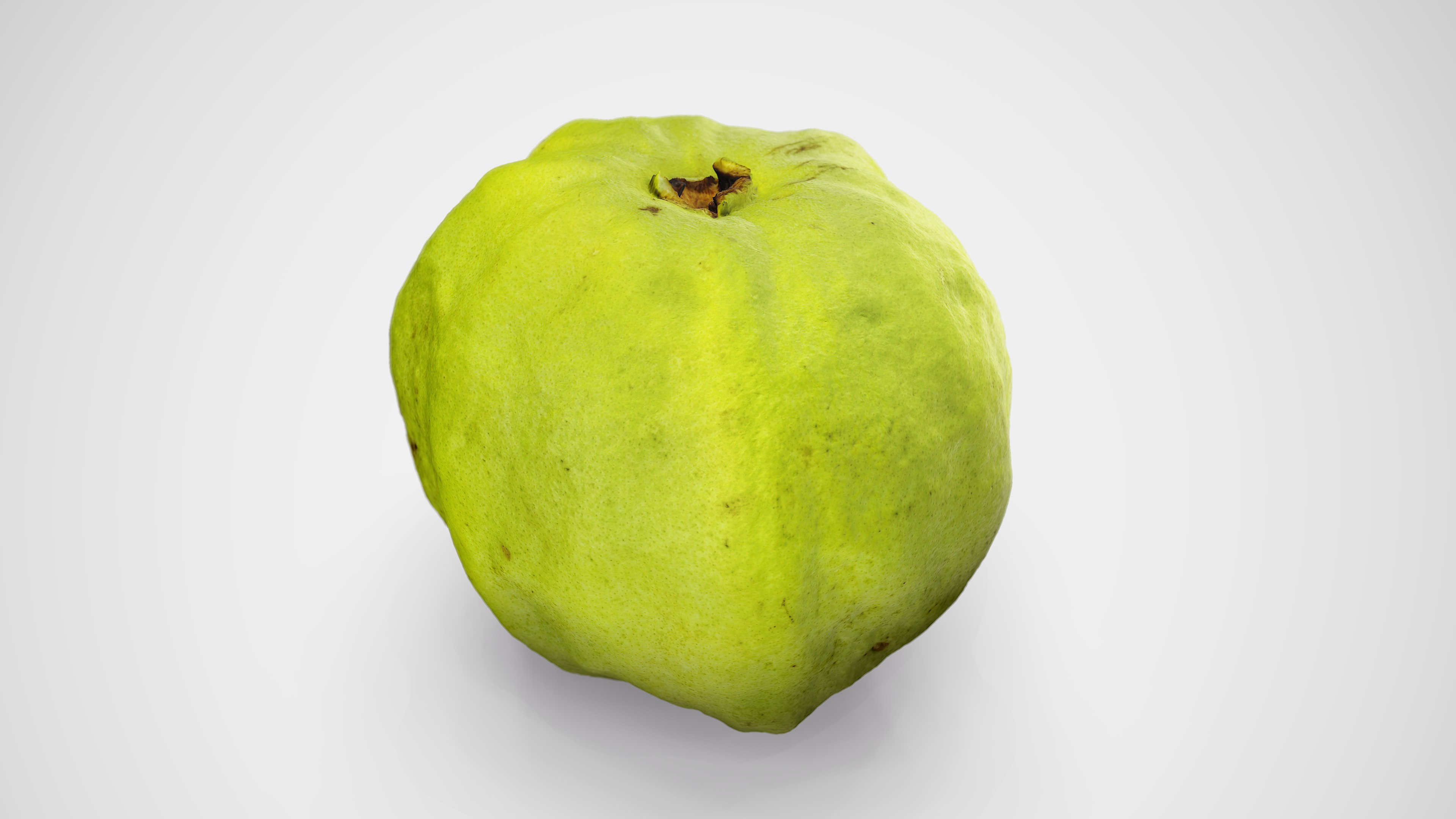 Guava - Photorealistic Scan Low-poly 3D model_6