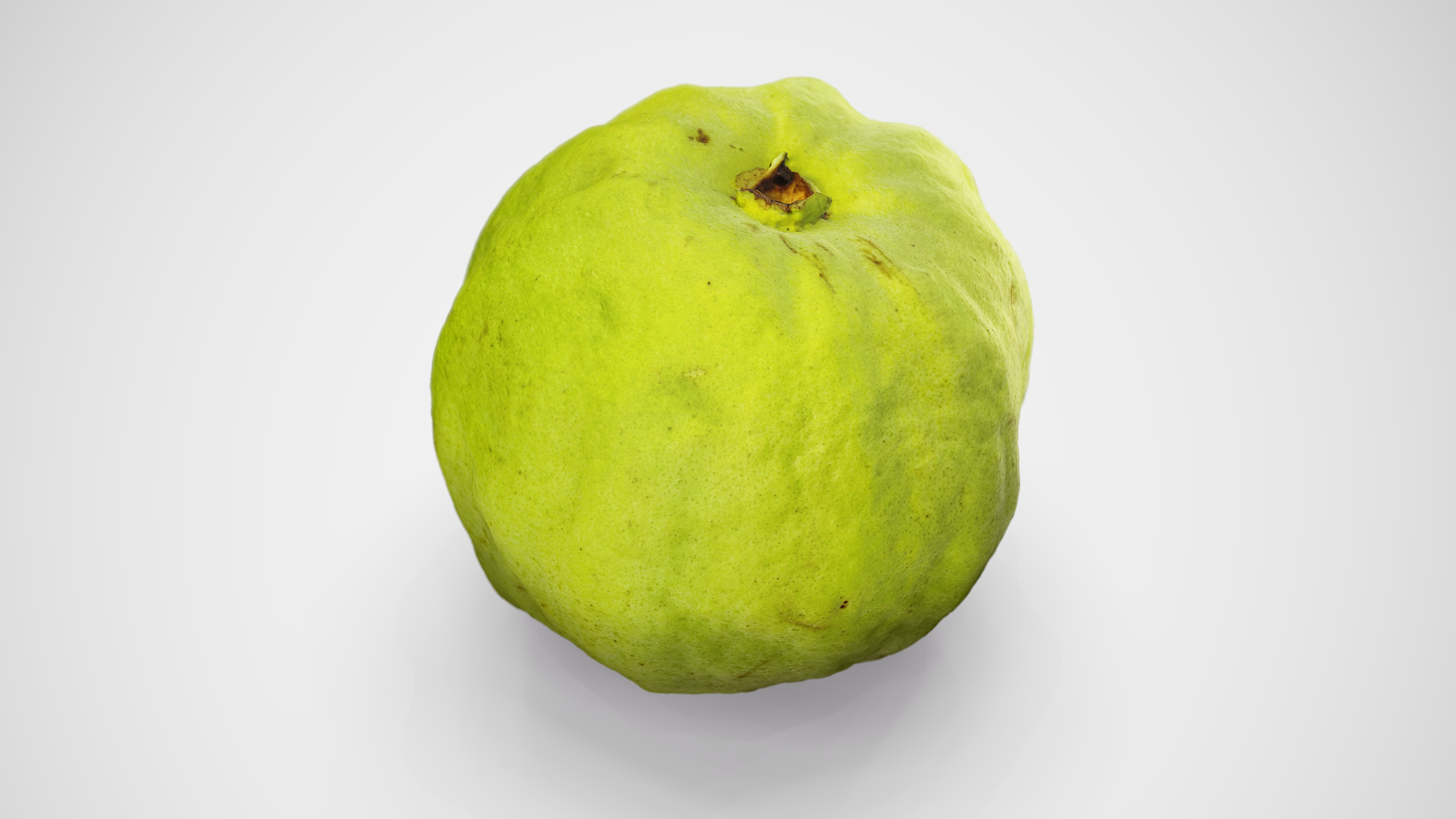 Guava - Photorealistic Scan Low-poly 3D model_15