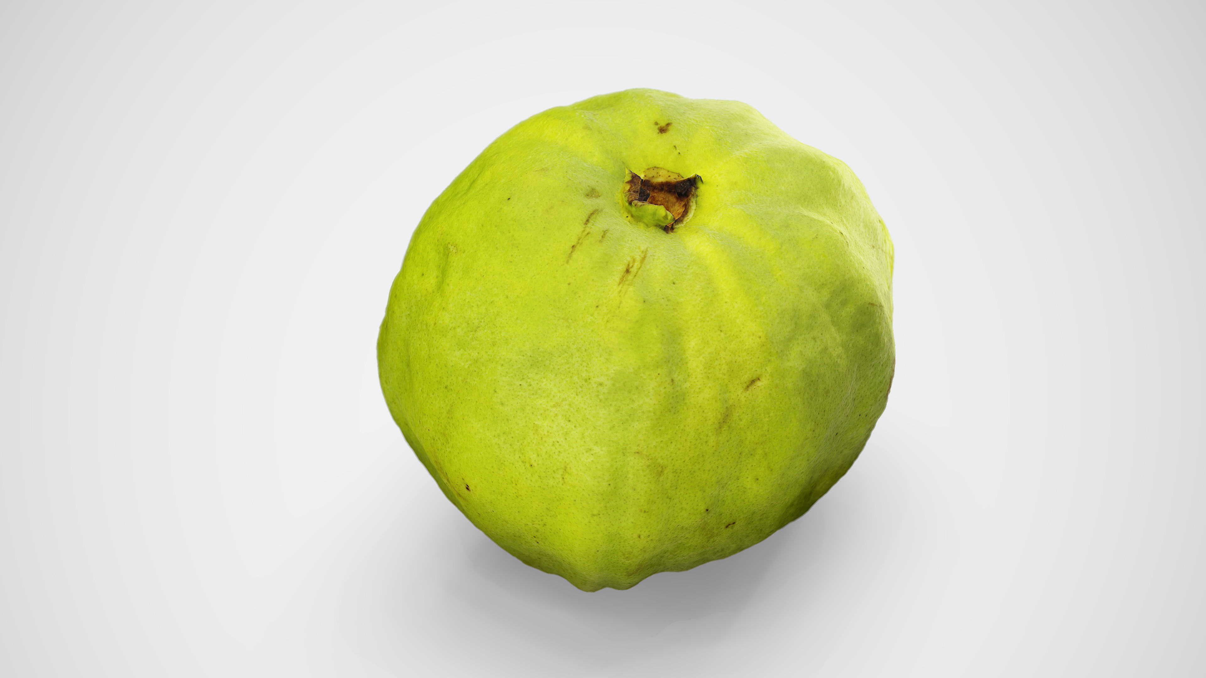 Guava - Photorealistic Scan Low-poly 3D model_13