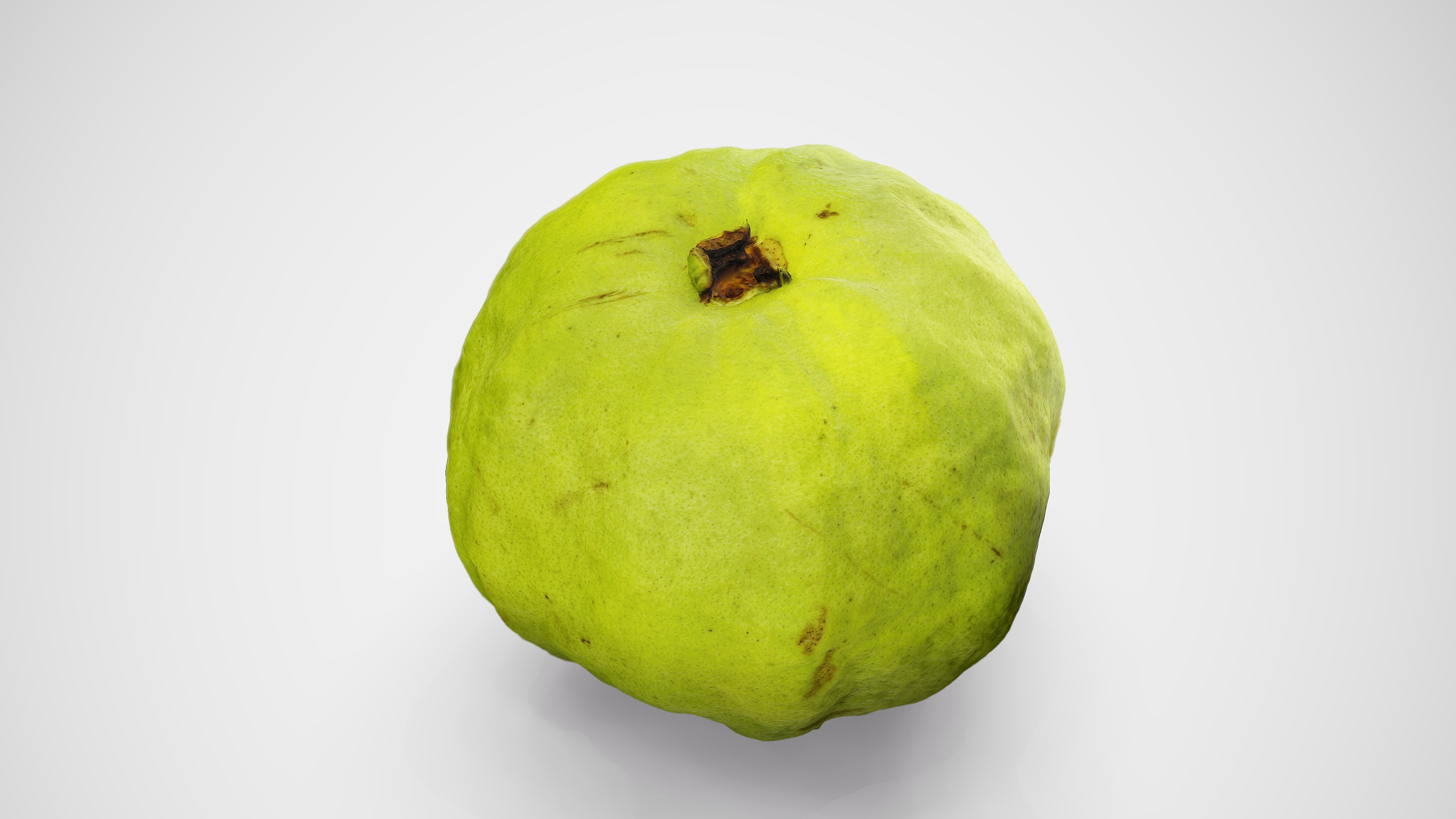 Guava - Photorealistic Scan Low-poly 3D model_11