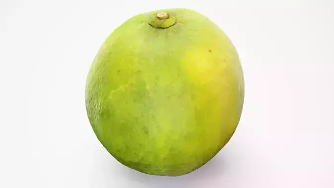 Lime - Photorealistic Scan