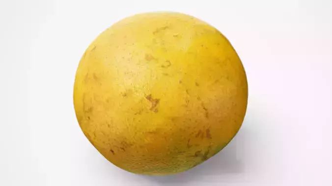 Thai Orange - Photorealistic Scan