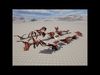 Realistic Red Dragon Animated 3D Model Low-poly 3D model_3