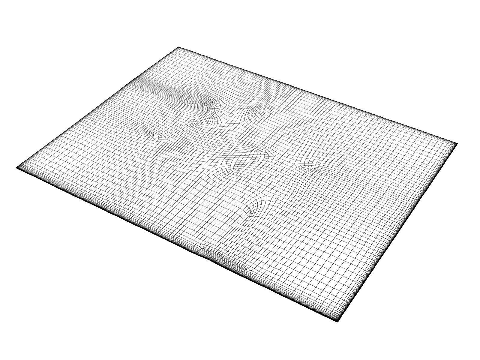 Nilanda NI38 Rug 3D model_3