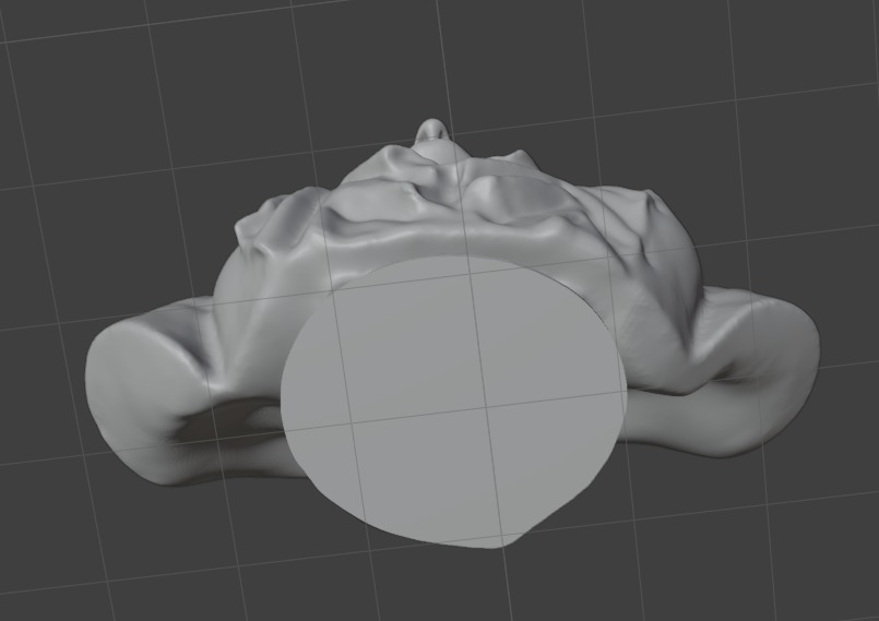 Betty Friedan 3D print model_4