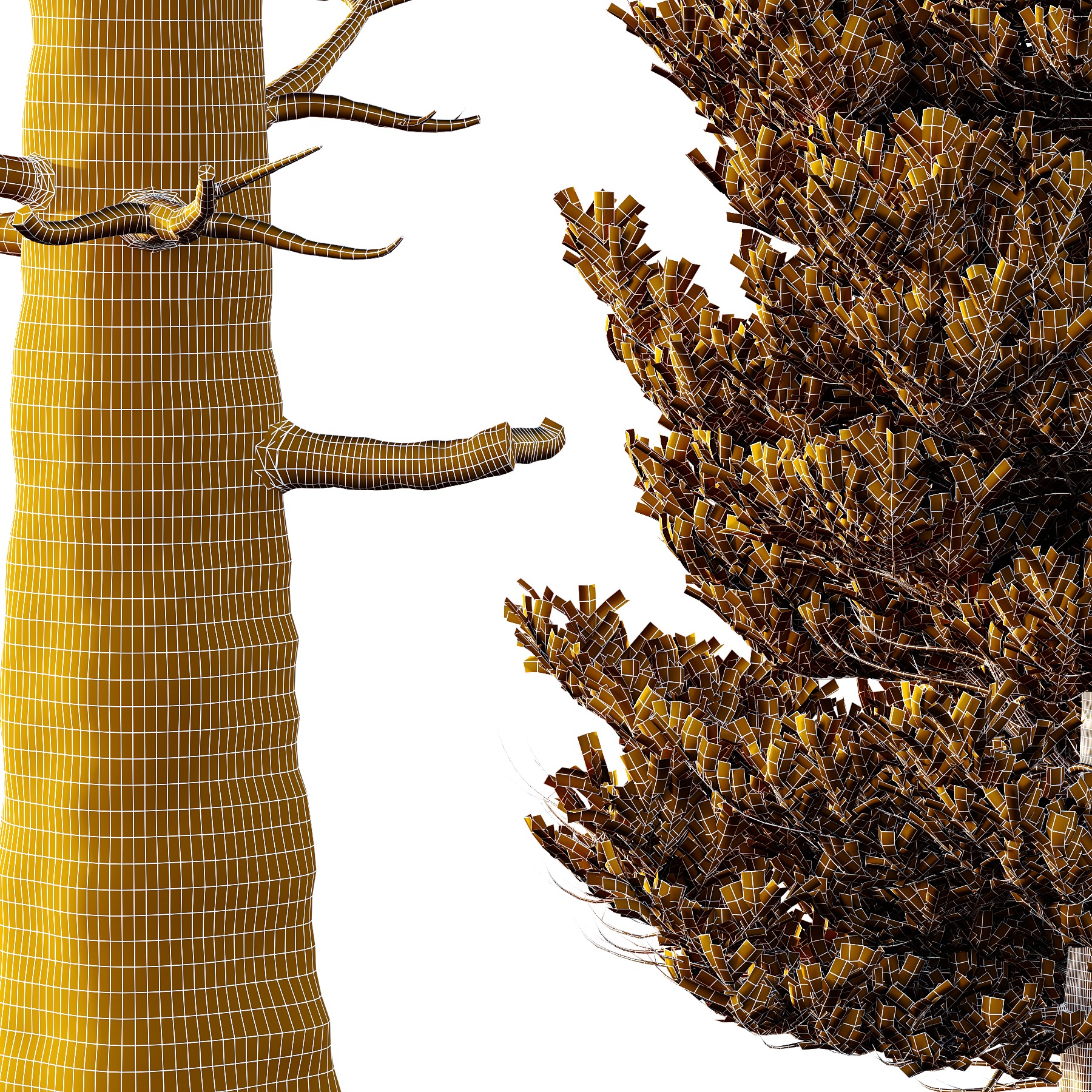 spruce tree004 3D model_2