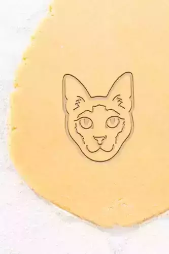 Cat Cookie Cutter - Biscuit Cutter