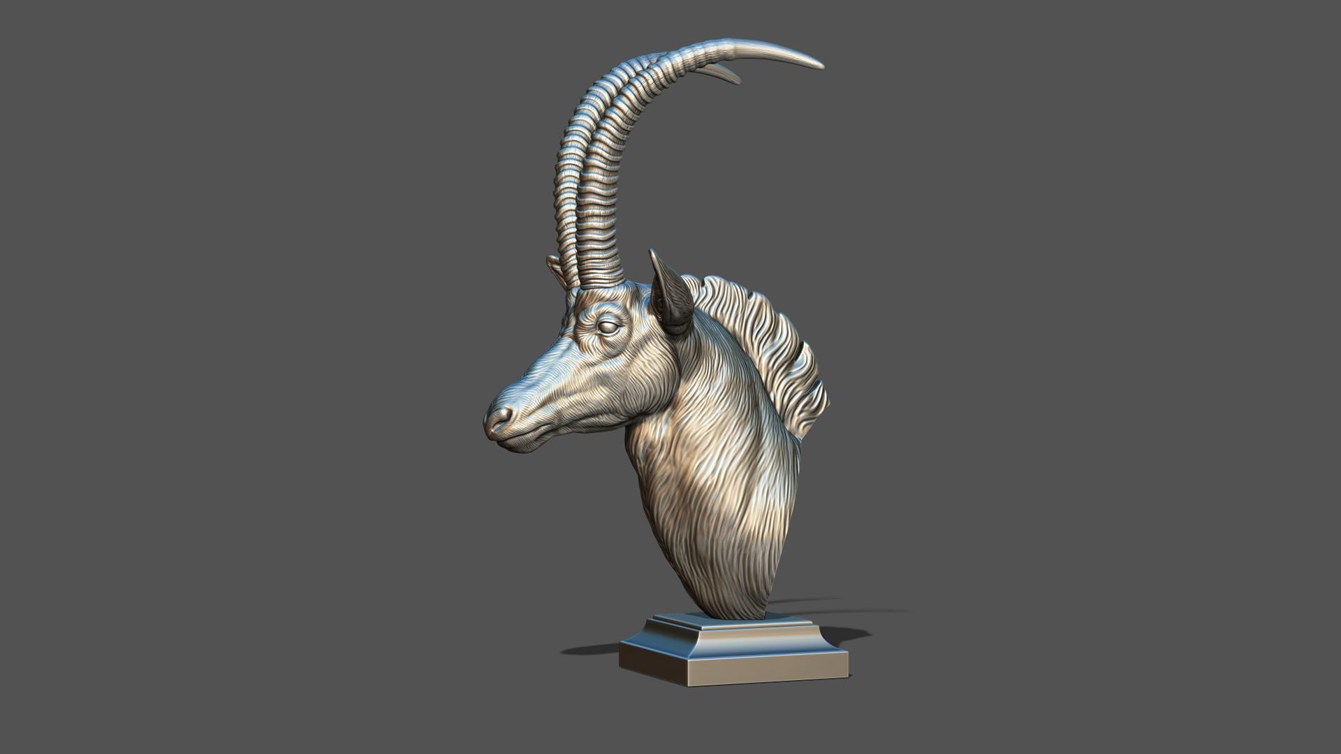 Sable Black Antelope bust 3D print model_18