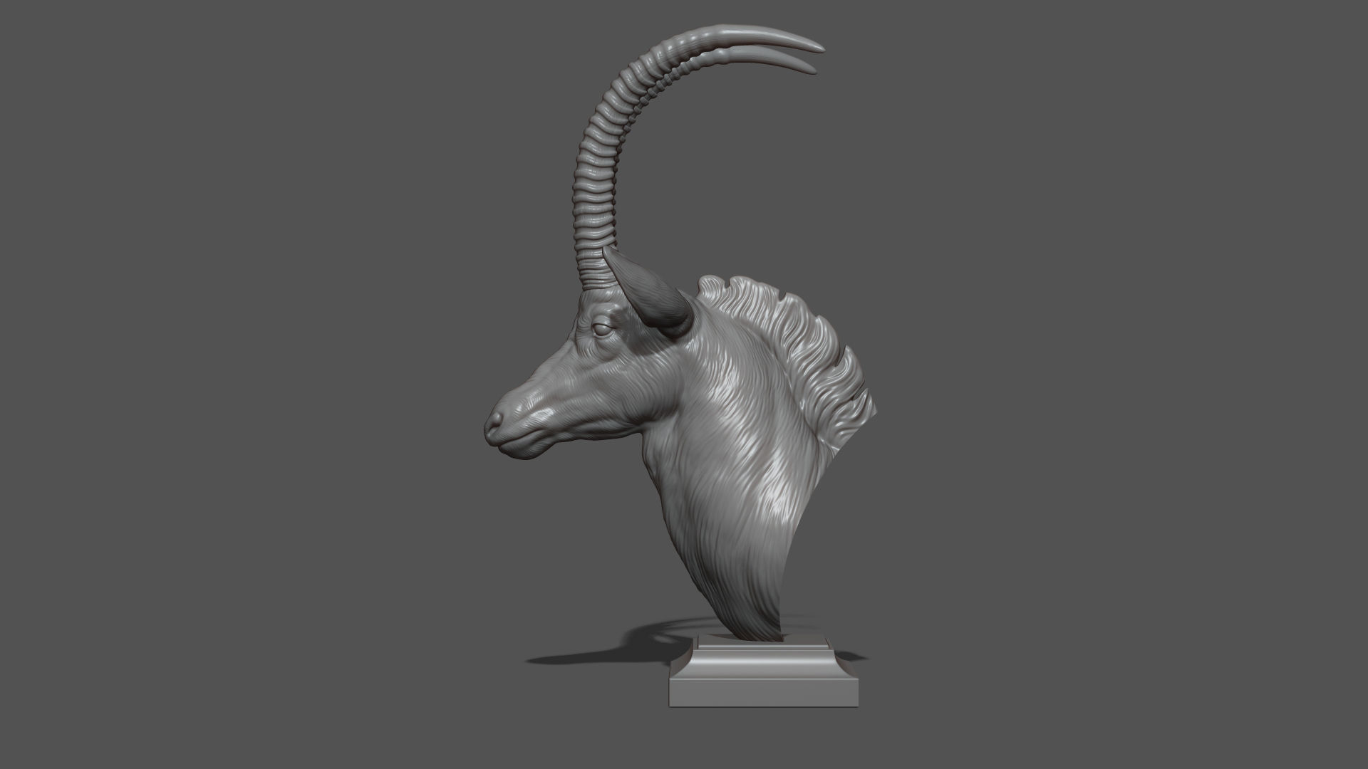 Sable Black Antelope bust 3D print model_12