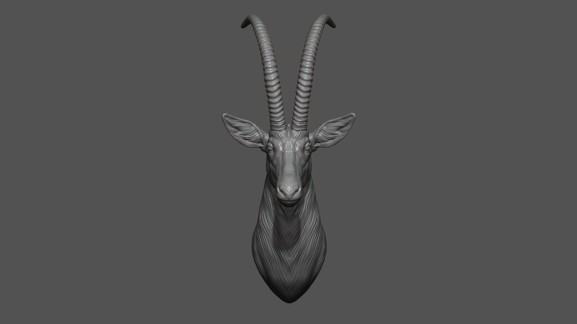 Sable Black Antelope bust 3D print model_7