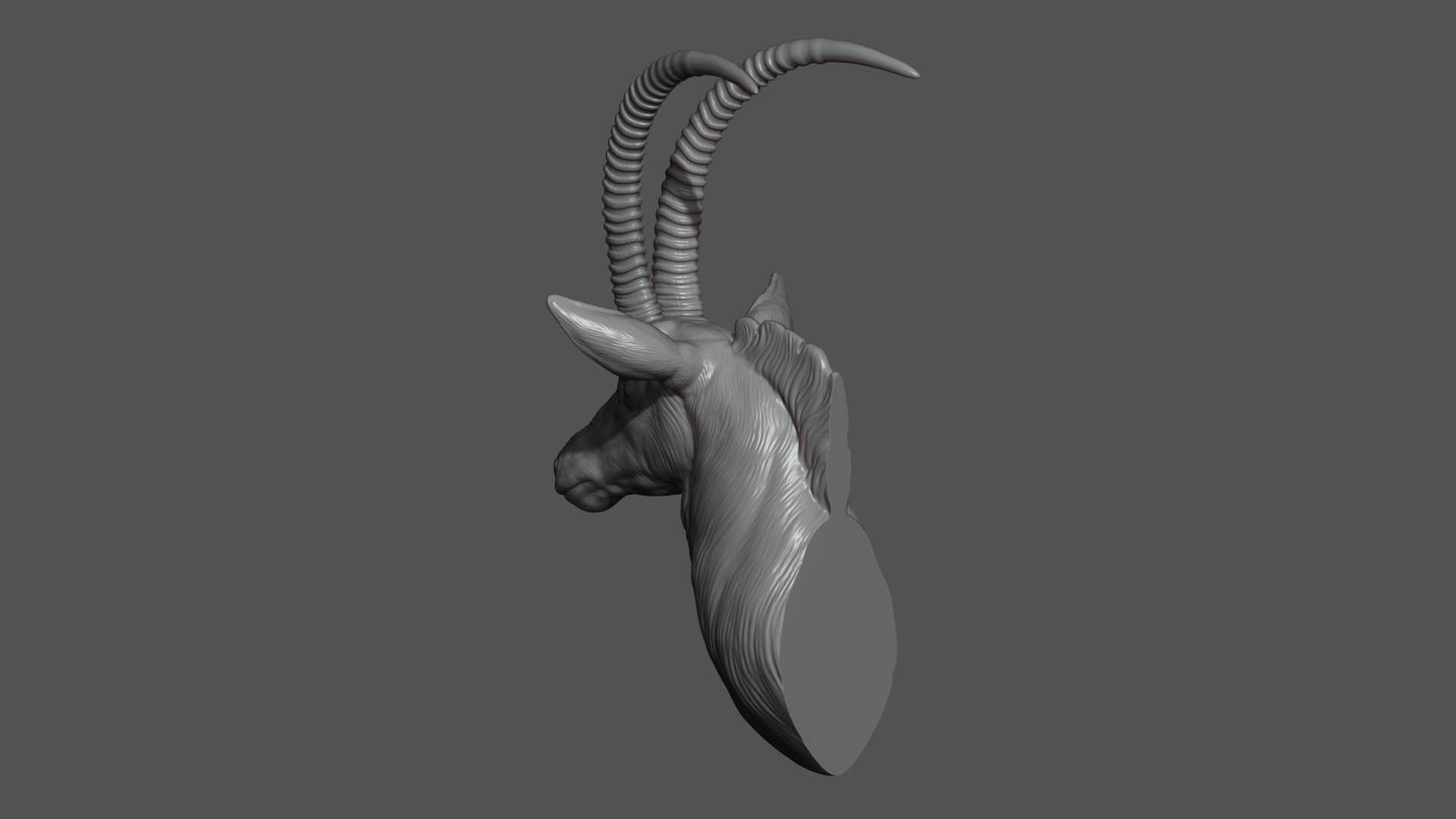 Sable Black Antelope bust 3D print model_4