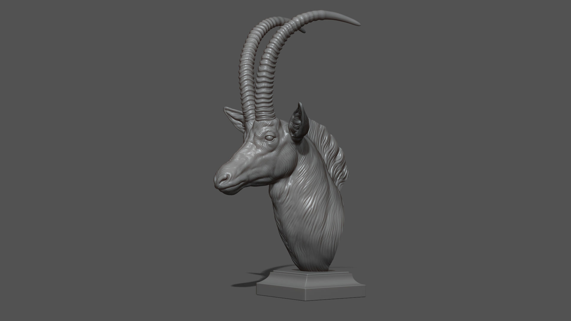 Sable Black Antelope bust 3D print model_13