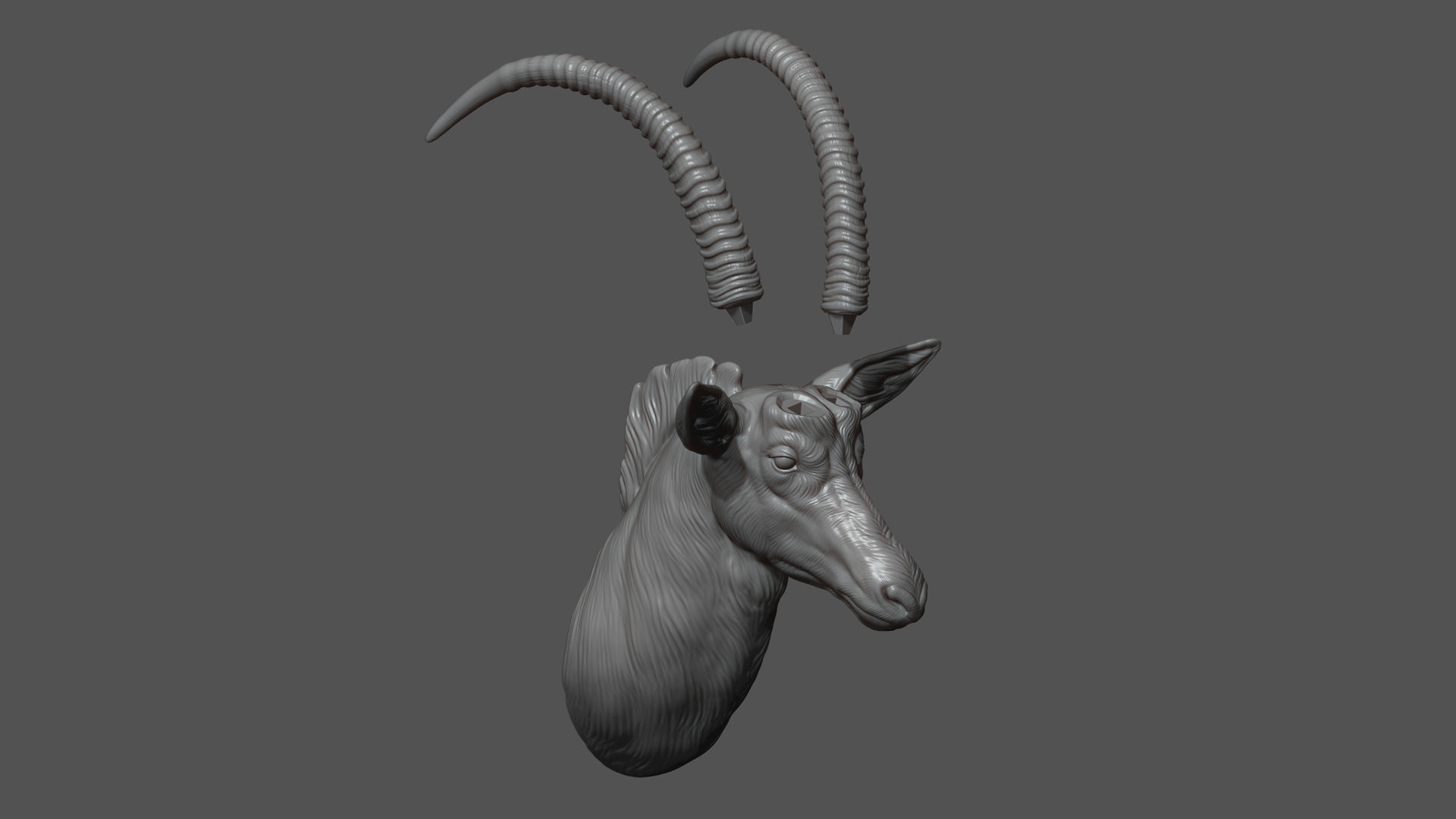 Sable Black Antelope bust 3D print model_3