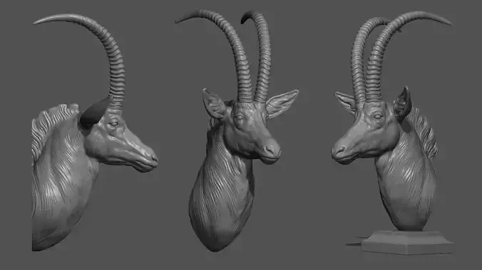 Sable Black Antelope bust
