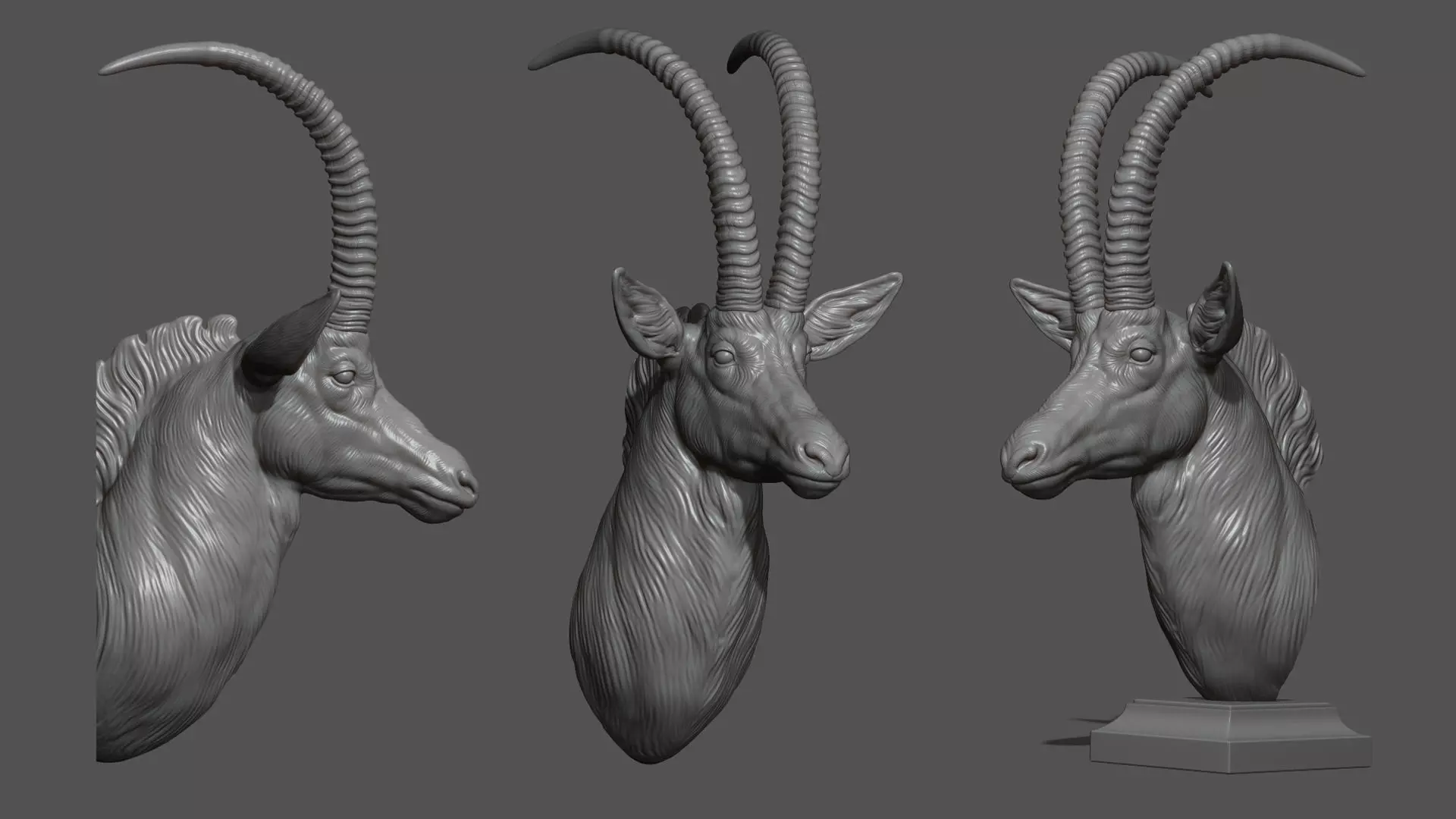 Sable Black Antelope bust 3D print model_0