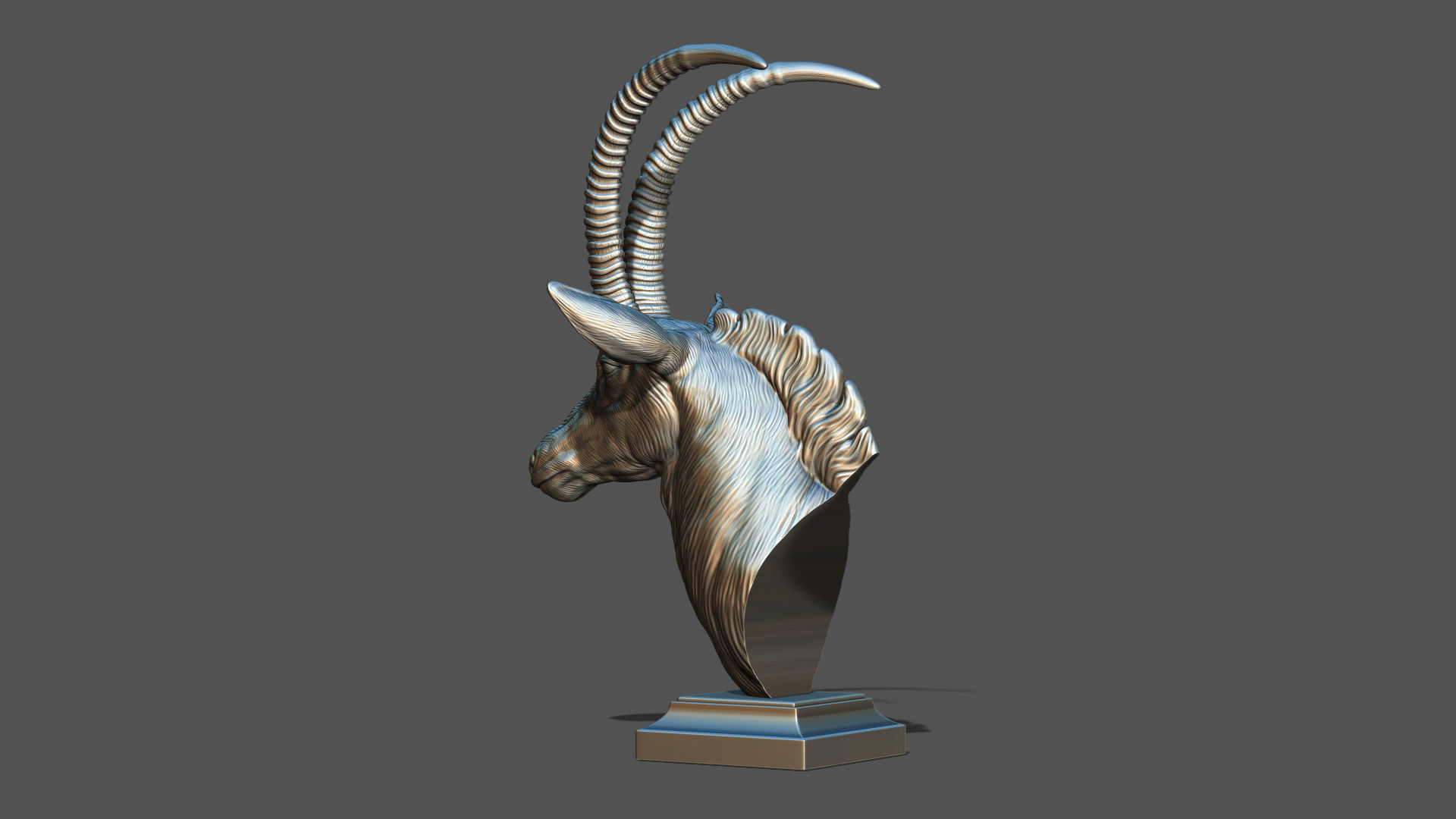Sable Black Antelope bust 3D print model_16