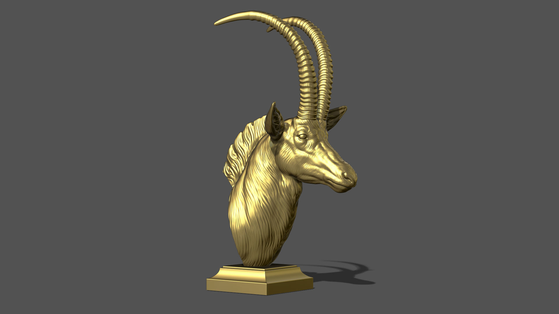 Sable Black Antelope bust 3D print model_17