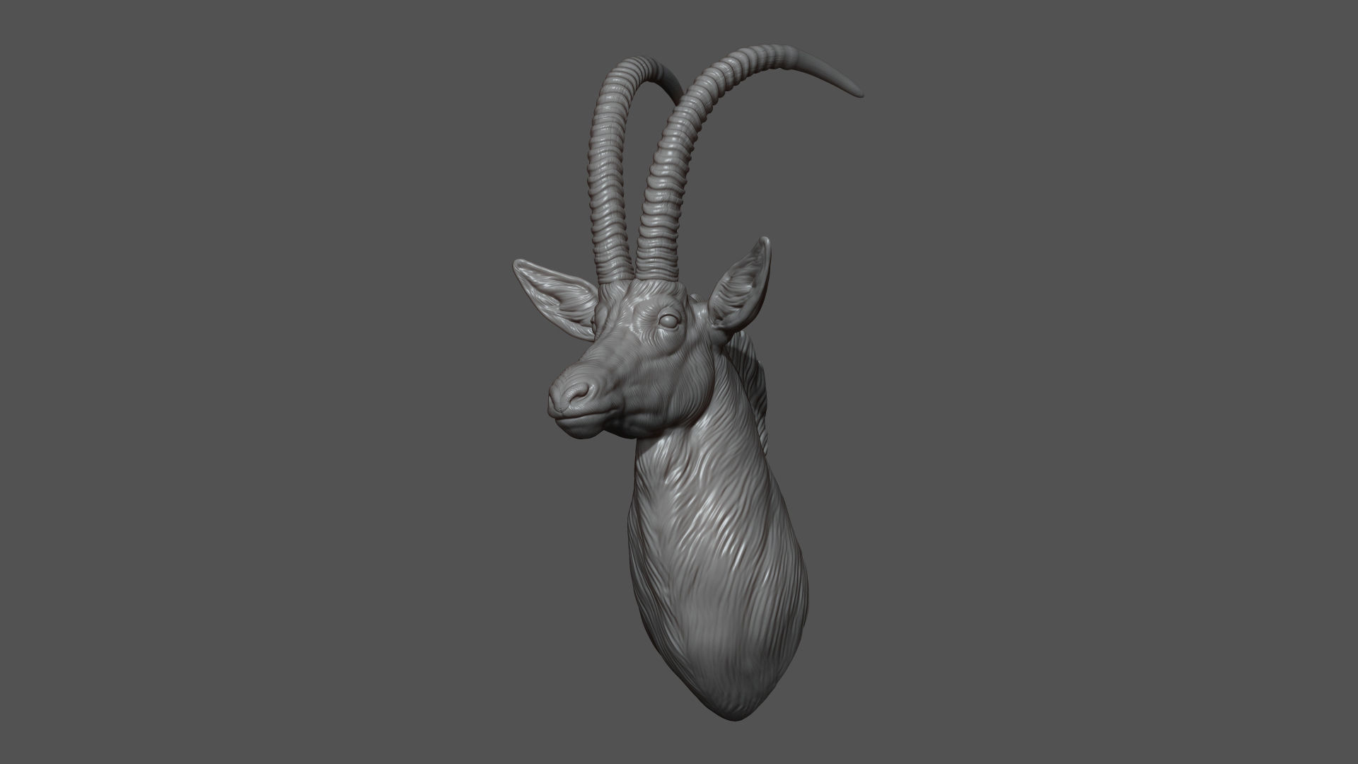Sable Black Antelope bust 3D print model_6