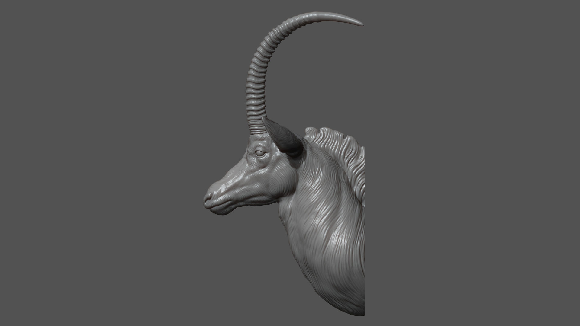 Sable Black Antelope bust 3D print model_5