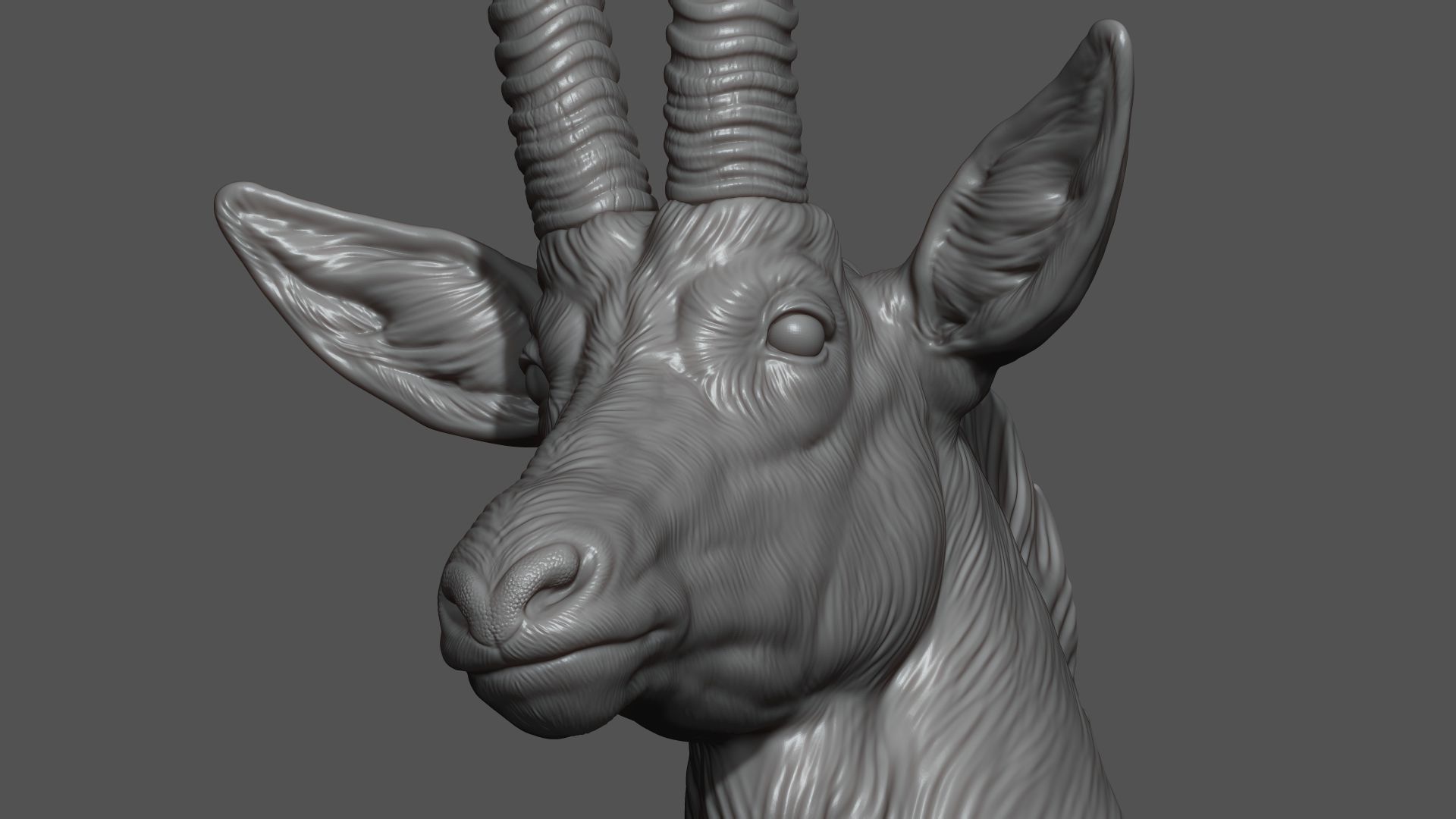 Sable Black Antelope bust 3D print model_2
