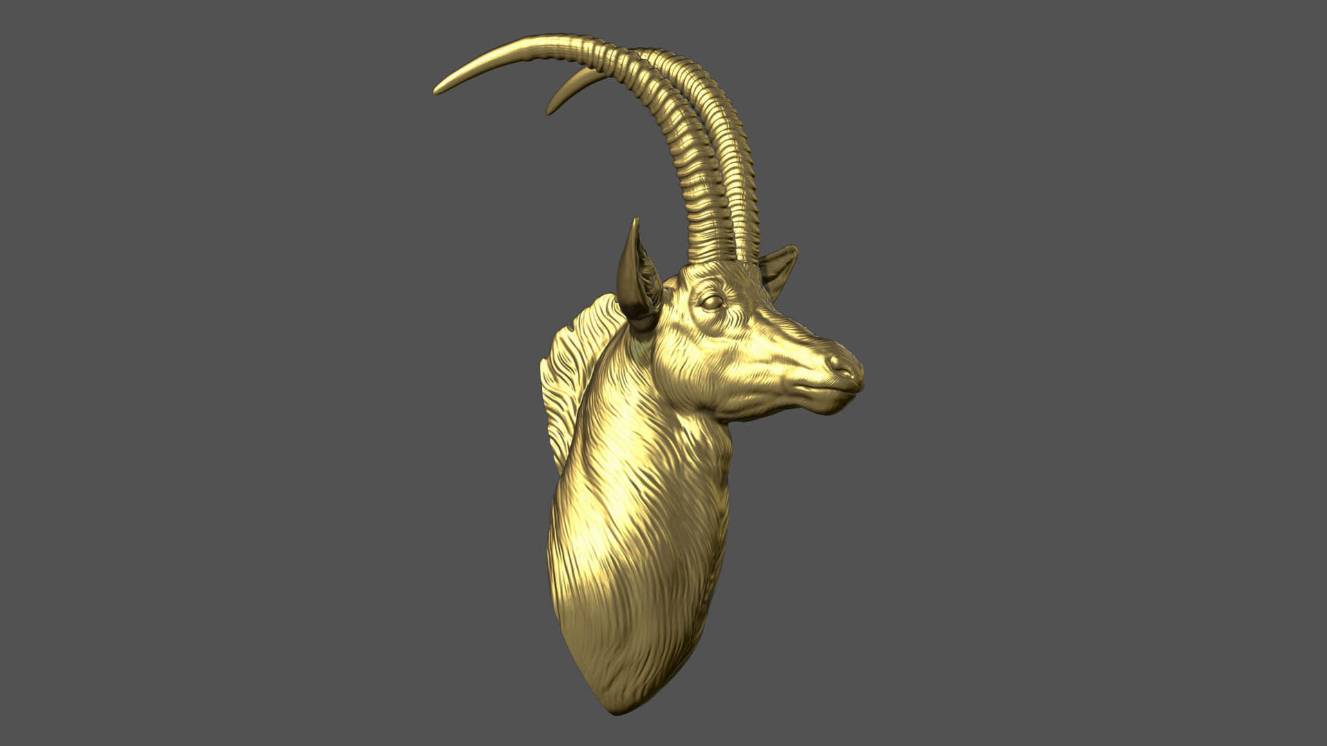 Sable Black Antelope bust 3D print model_9
