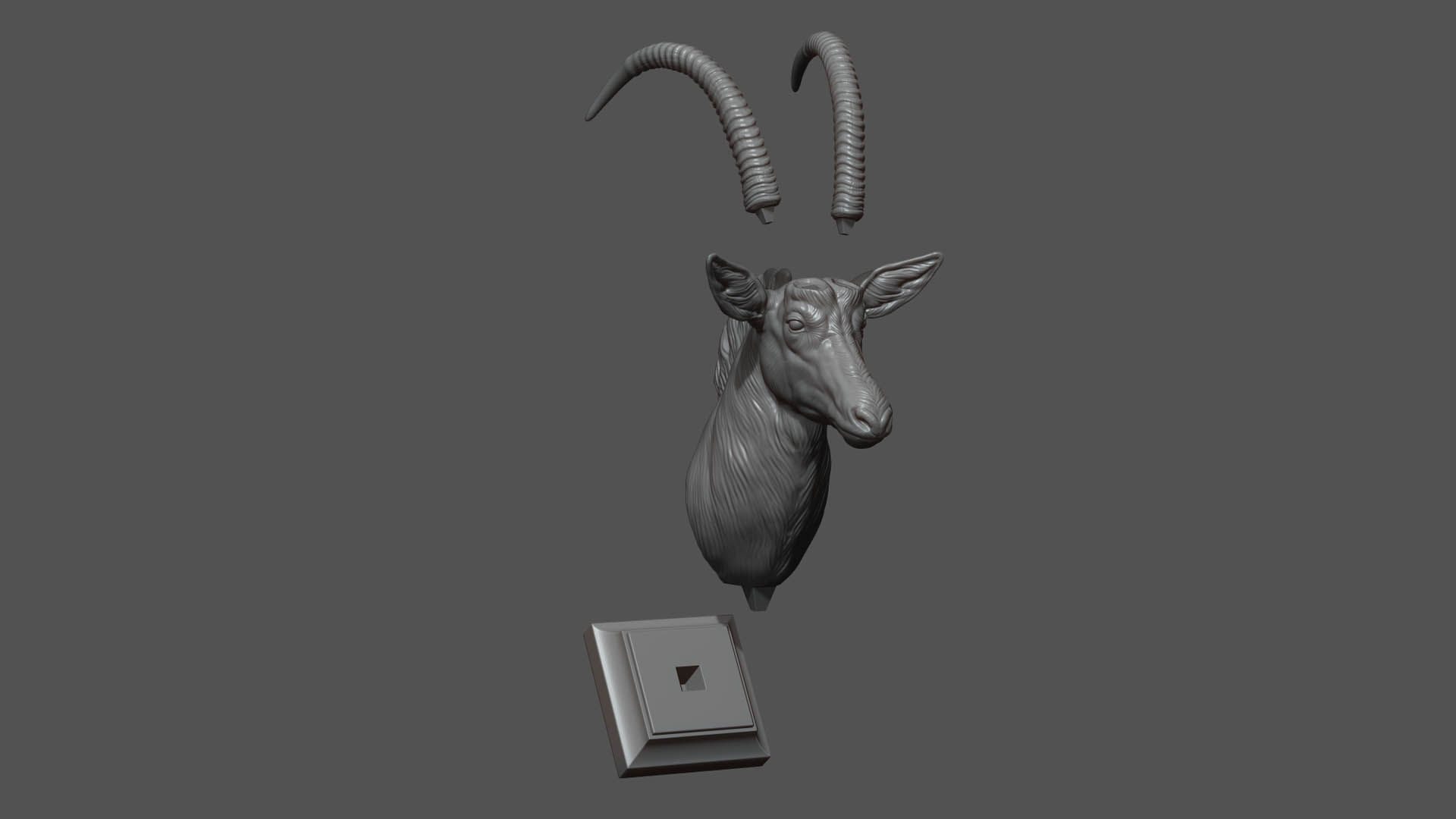 Sable Black Antelope bust 3D print model_11