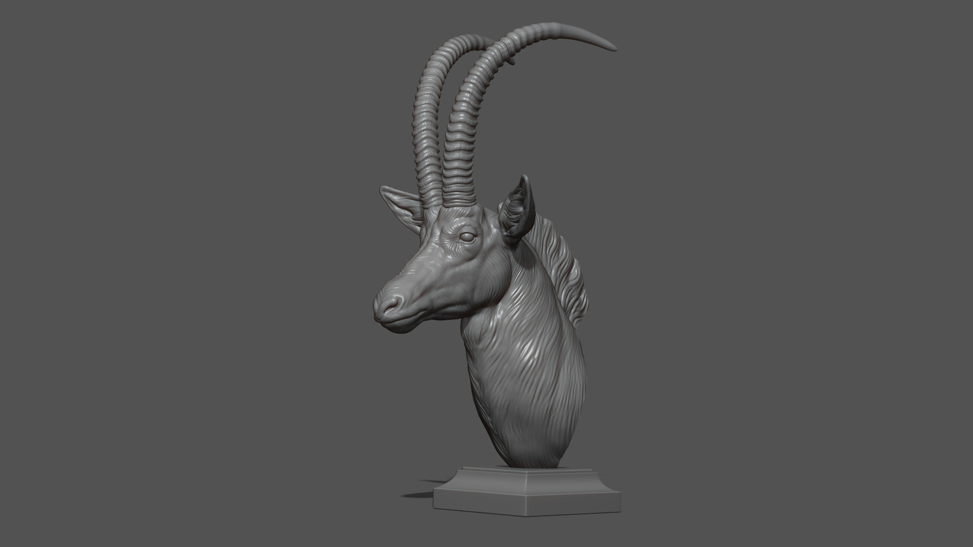 Sable Black Antelope bust 3D print model_14