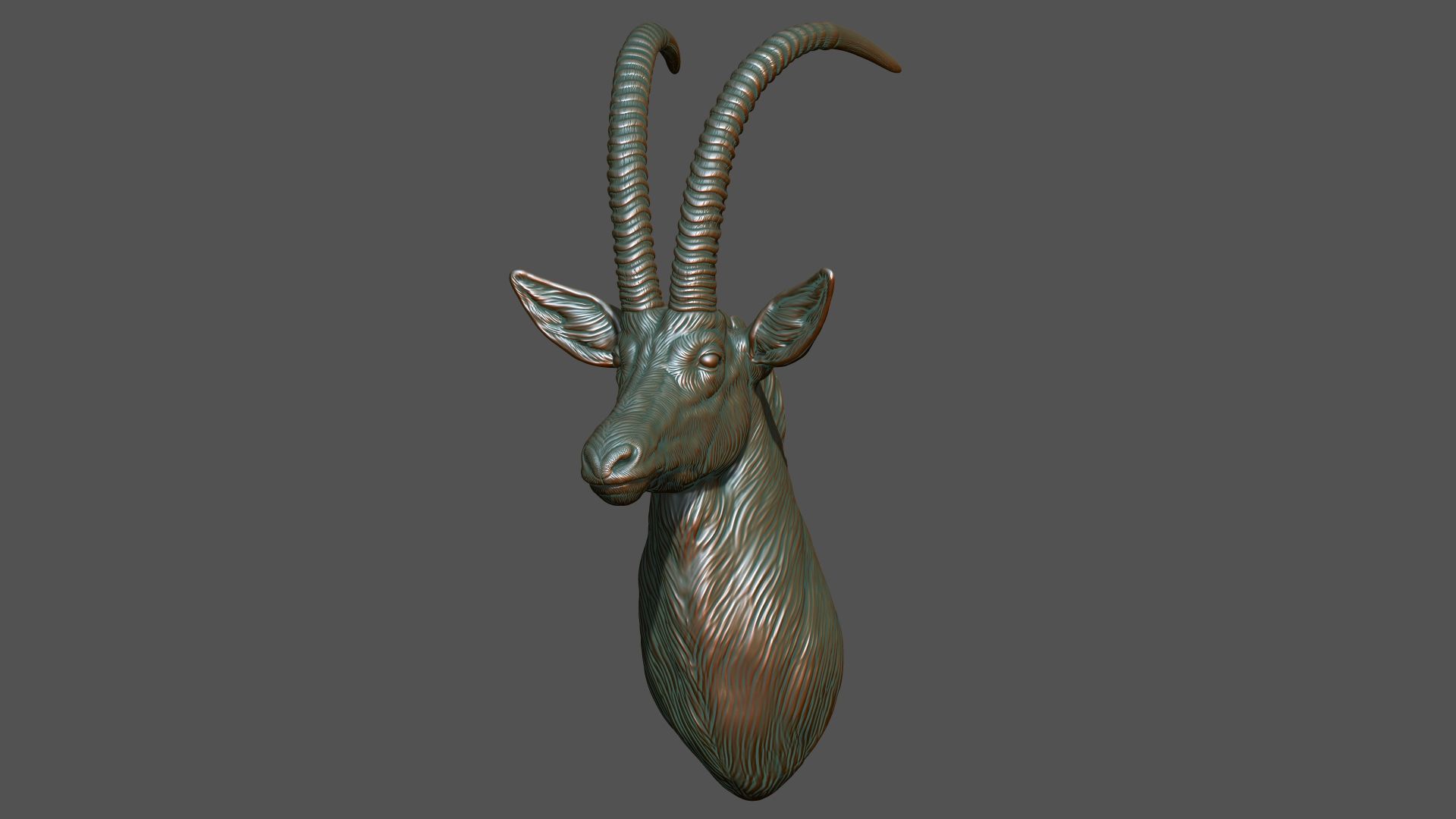 Sable Black Antelope bust 3D print model_8