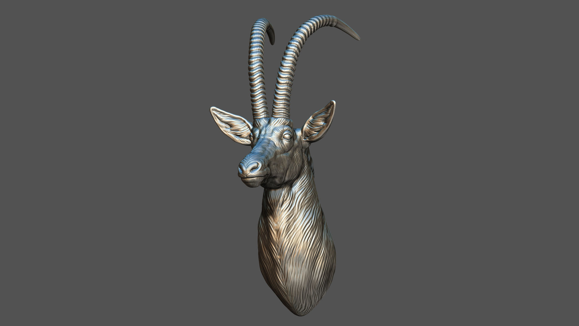 Sable Black Antelope bust 3D print model_10