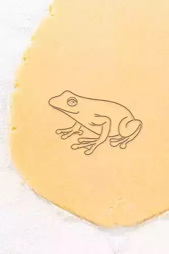 Frog Cookie Cutter - Biscuit Cutter