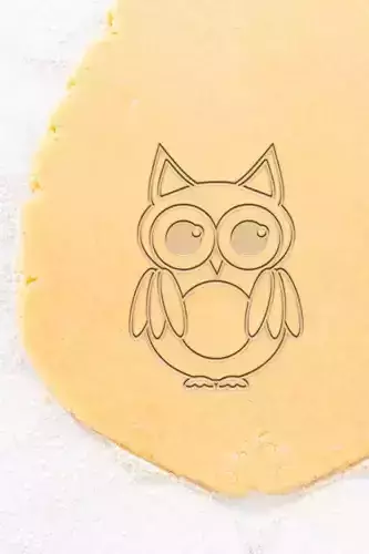 Owl Cookie Cutter - Biscuit Cutter