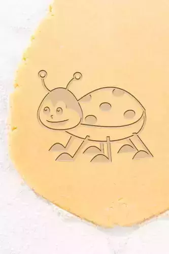Ladybird Cookie Cutter - Biscuit Cutter