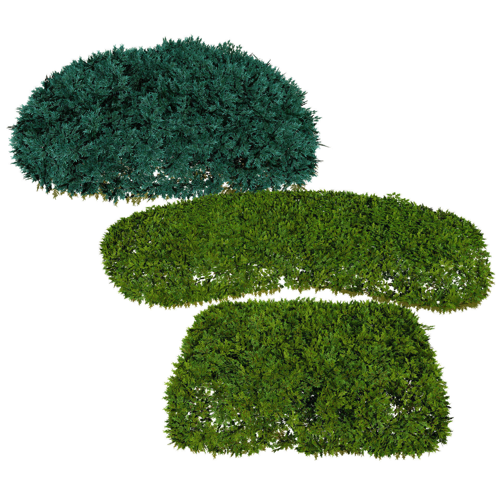 Juniper Bushes 3D Model Low-poly 3D model_2