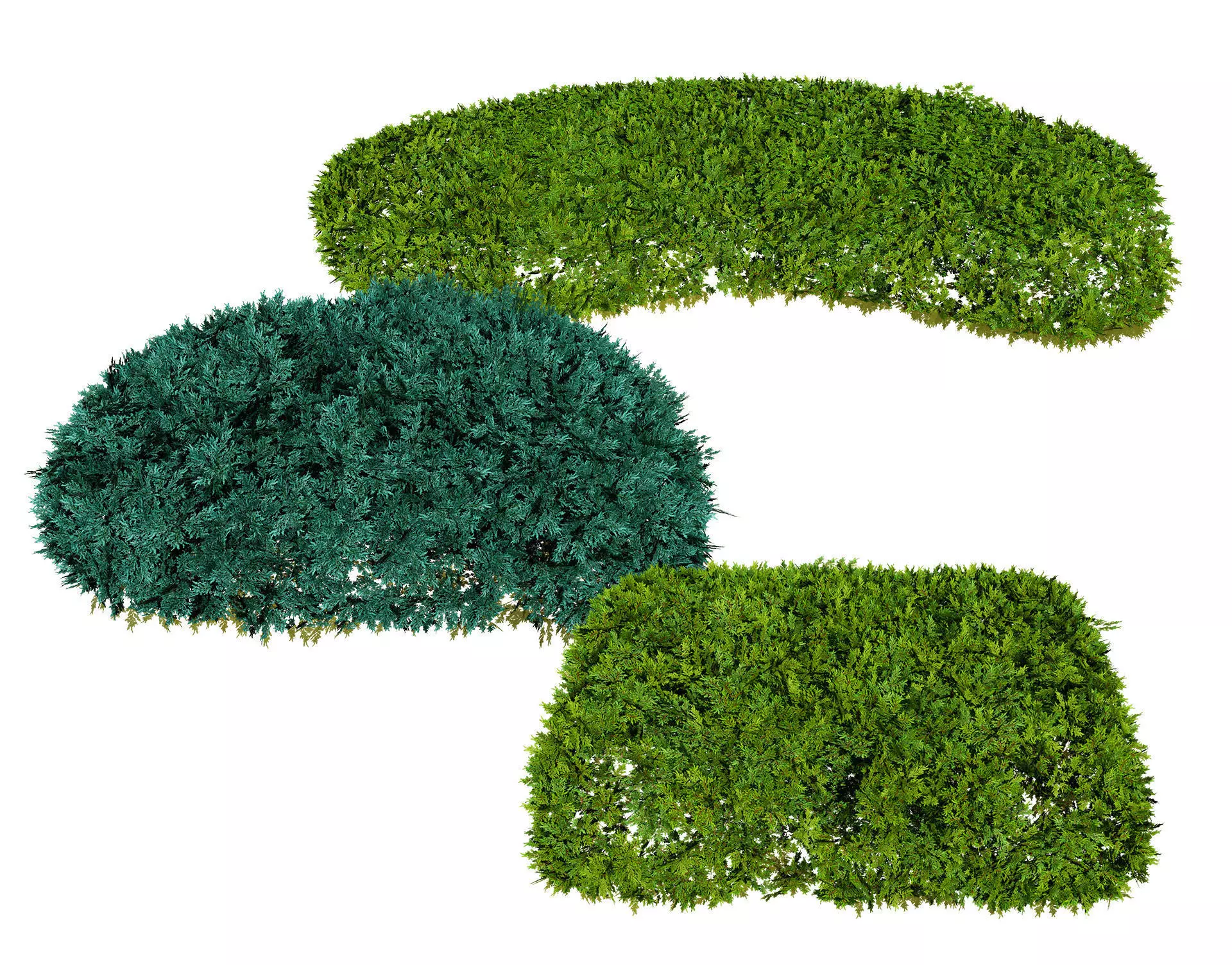 Juniper Bushes 3D Model Low-poly 3D model_0